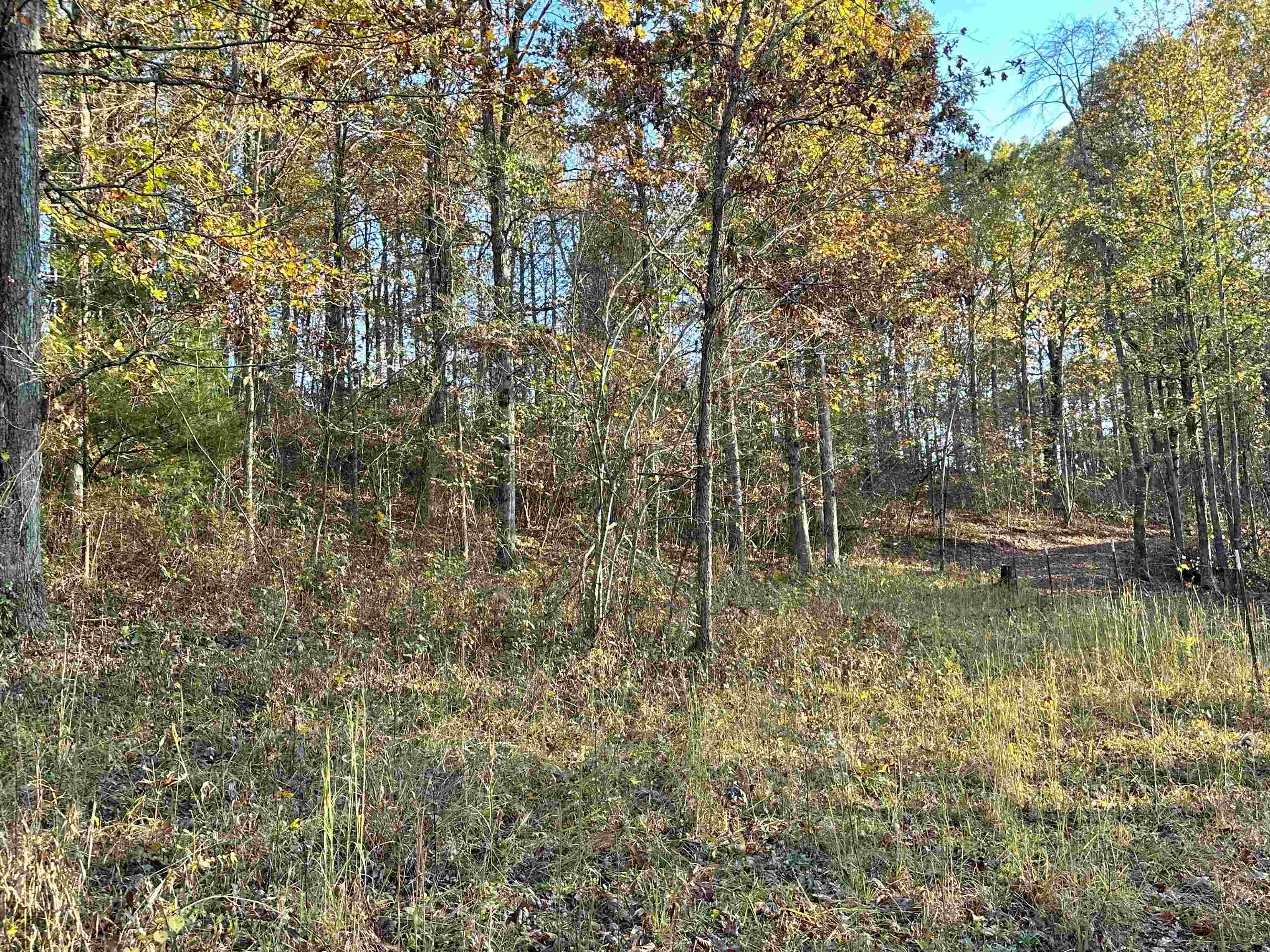 8997  Highway 9  Mountain View, AR