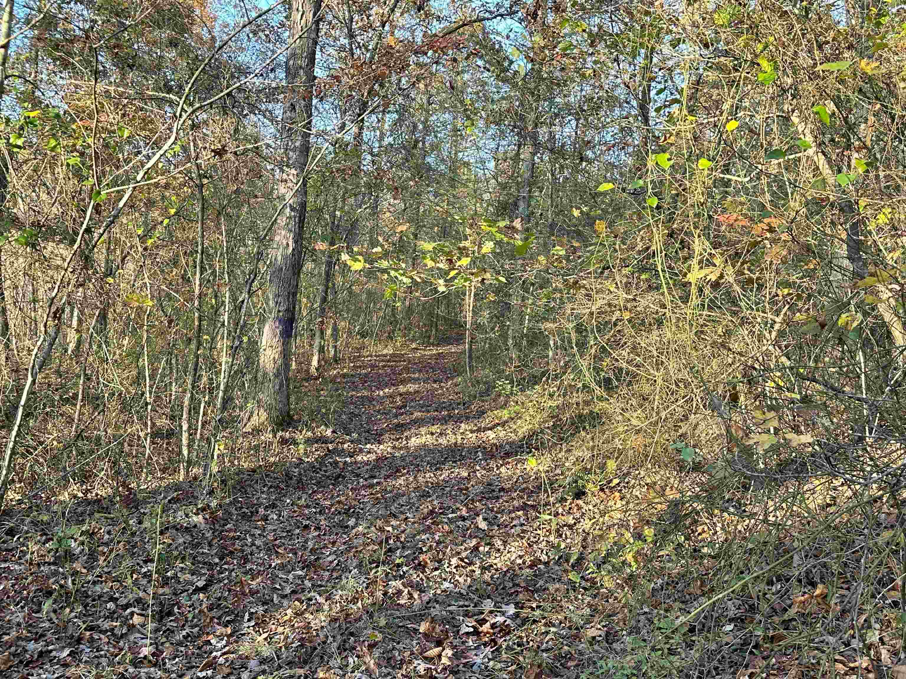 8997  Highway 9  Mountain View, AR