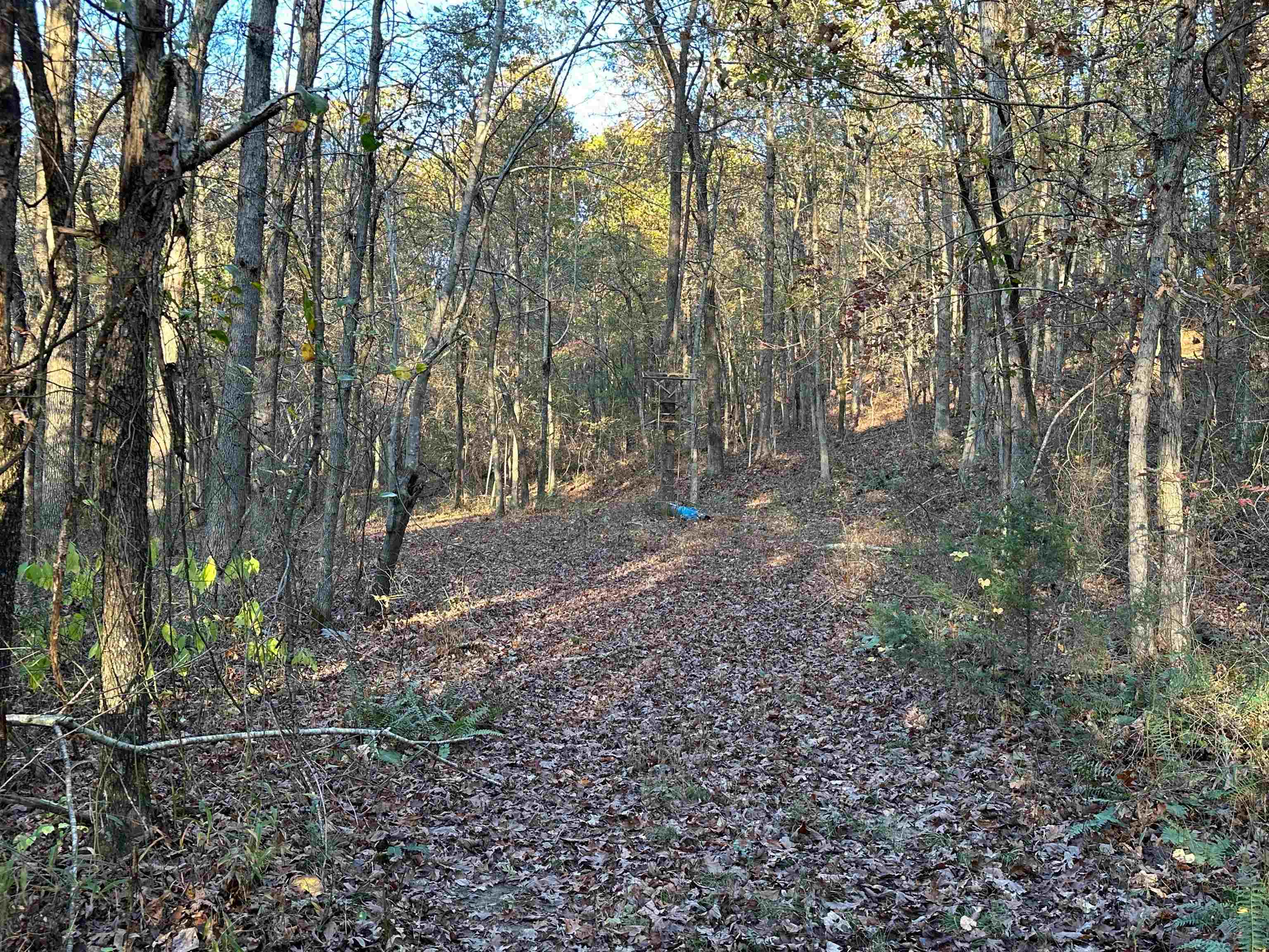 8997  Highway 9  Mountain View, AR