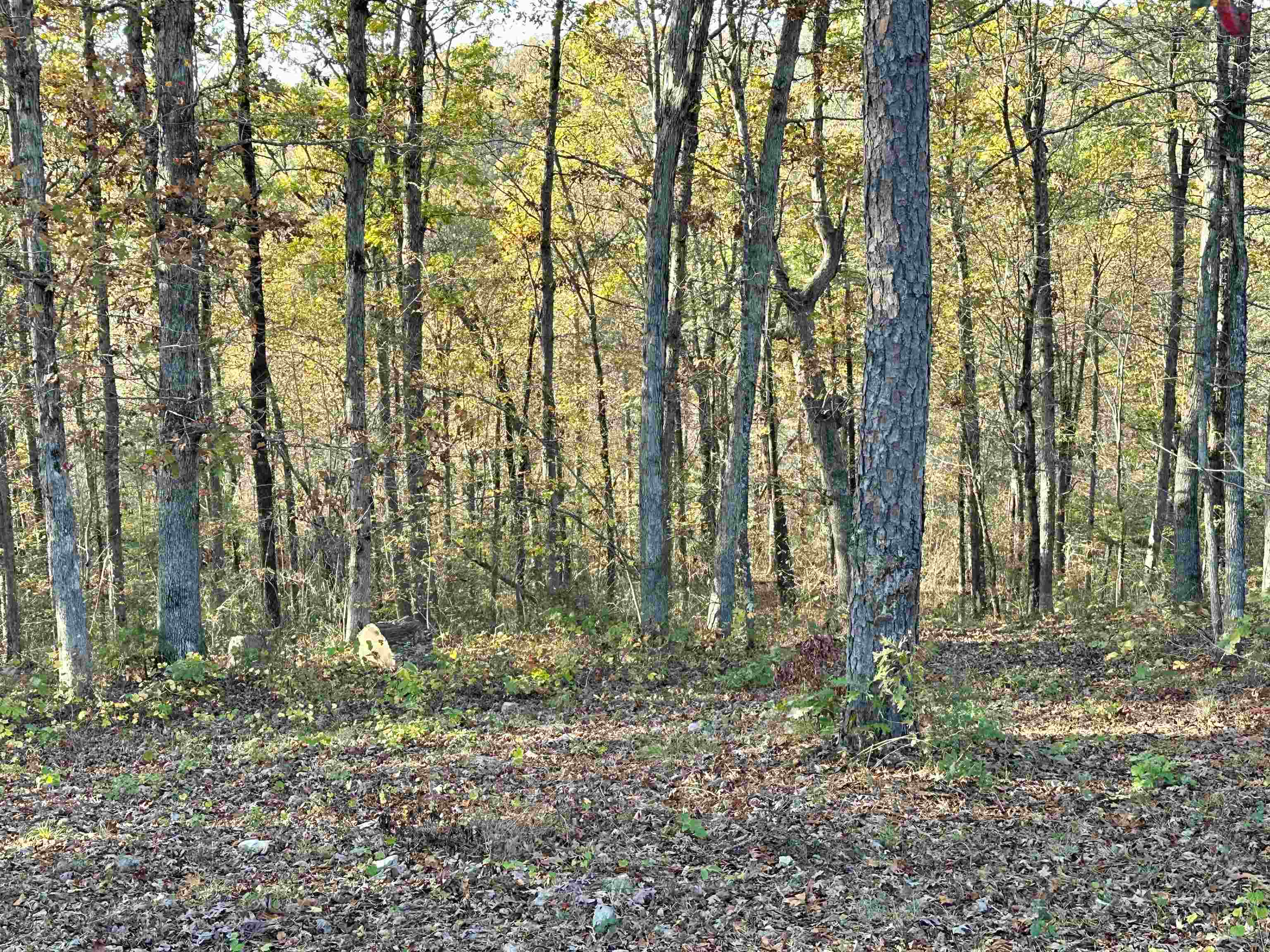 8997  Highway 9  Mountain View, AR