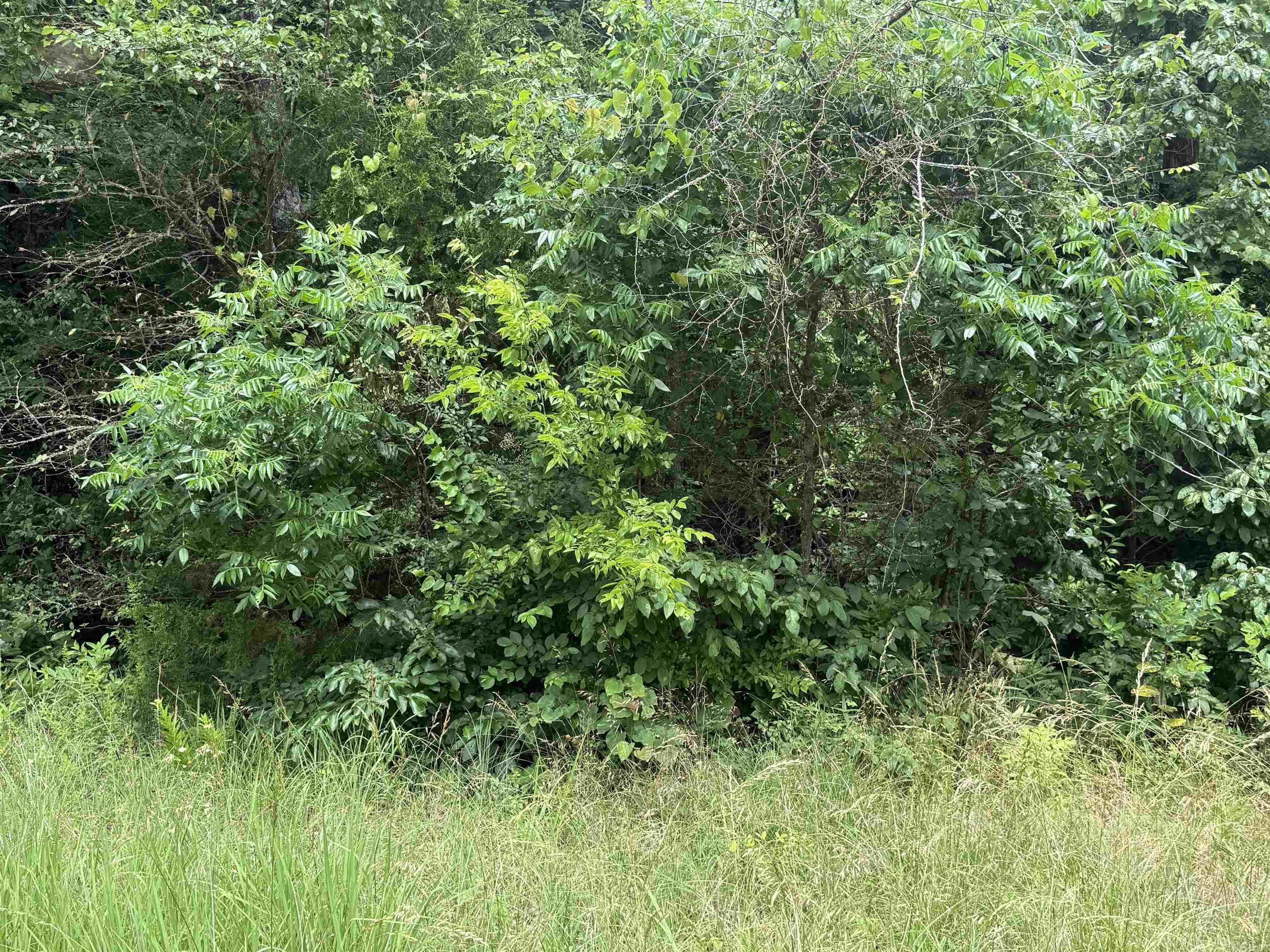 000 Iroquois  Cherokee Village, AR
