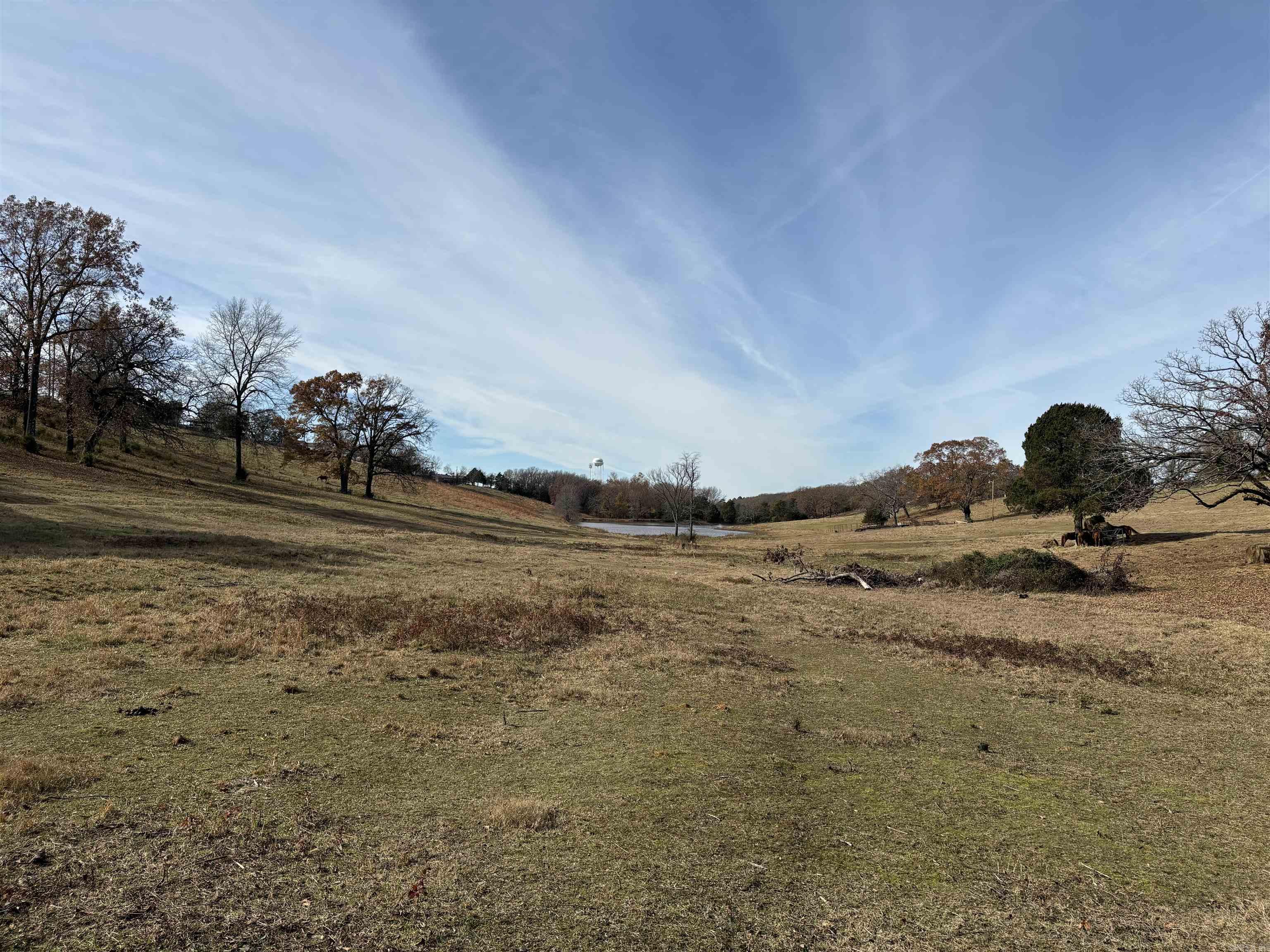 00  Cadron Gap Road  Conway, AR