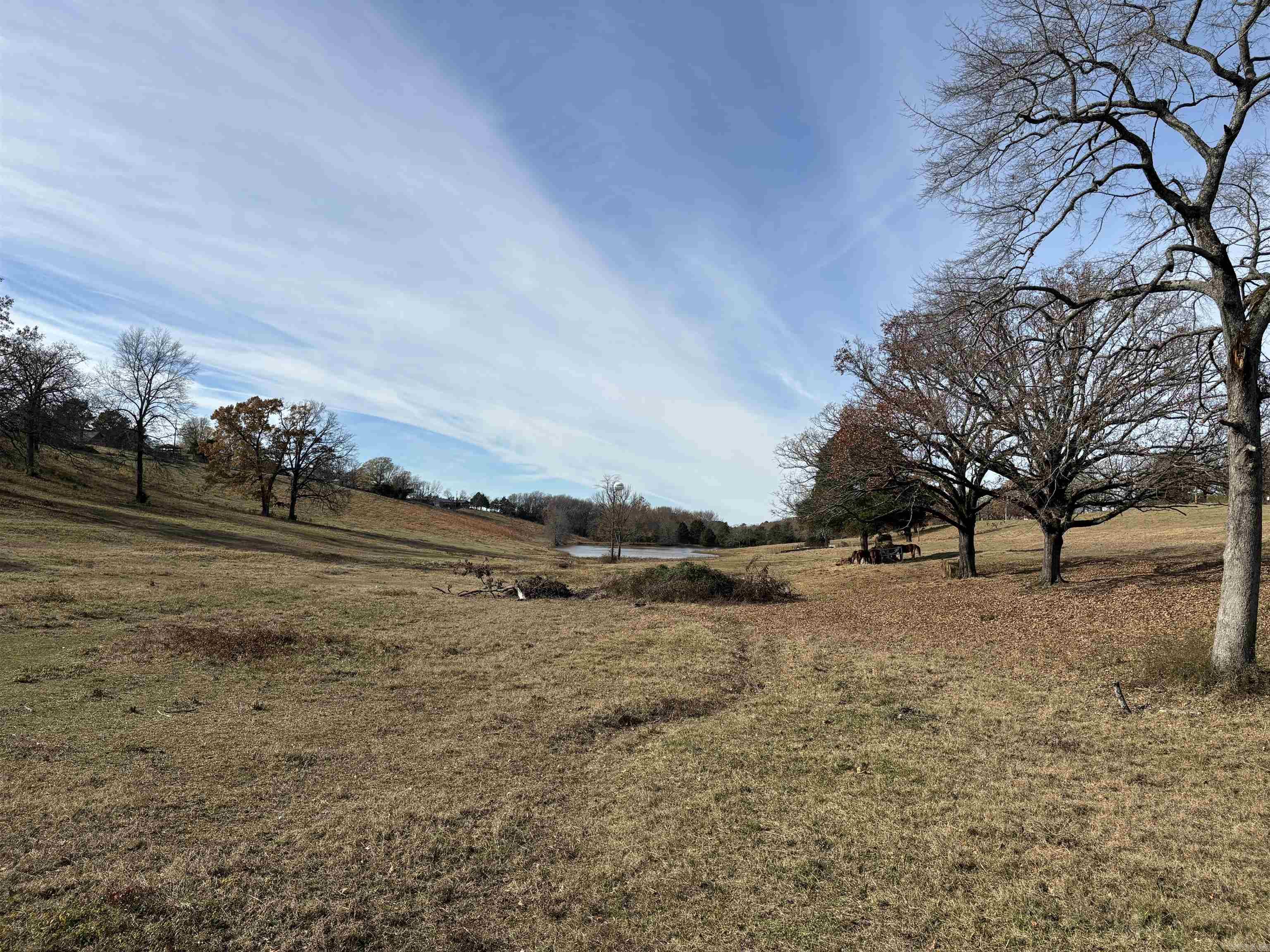00  Cadron Gap Road  Conway, AR