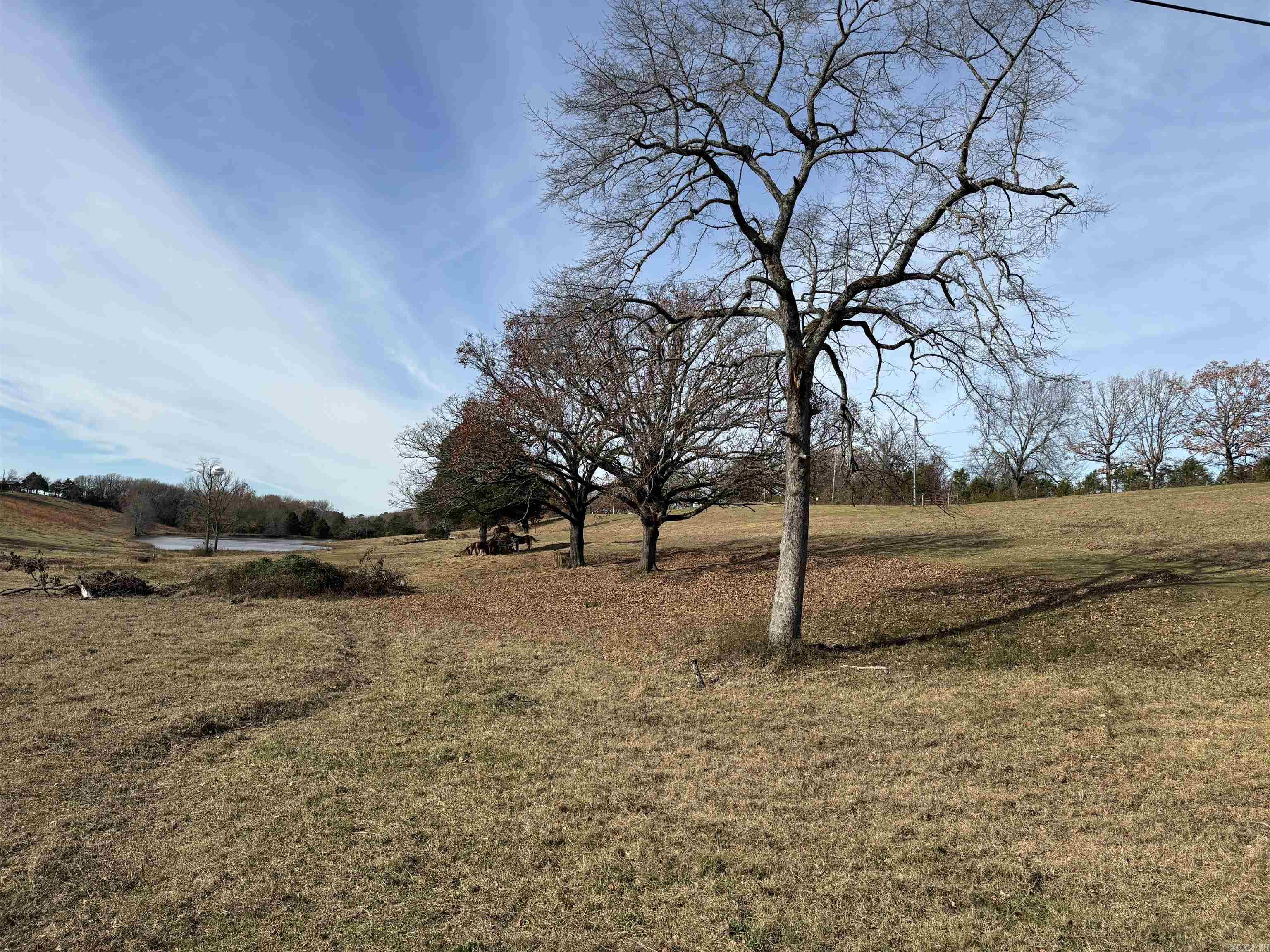 00  Cadron Gap Road  Conway, AR
