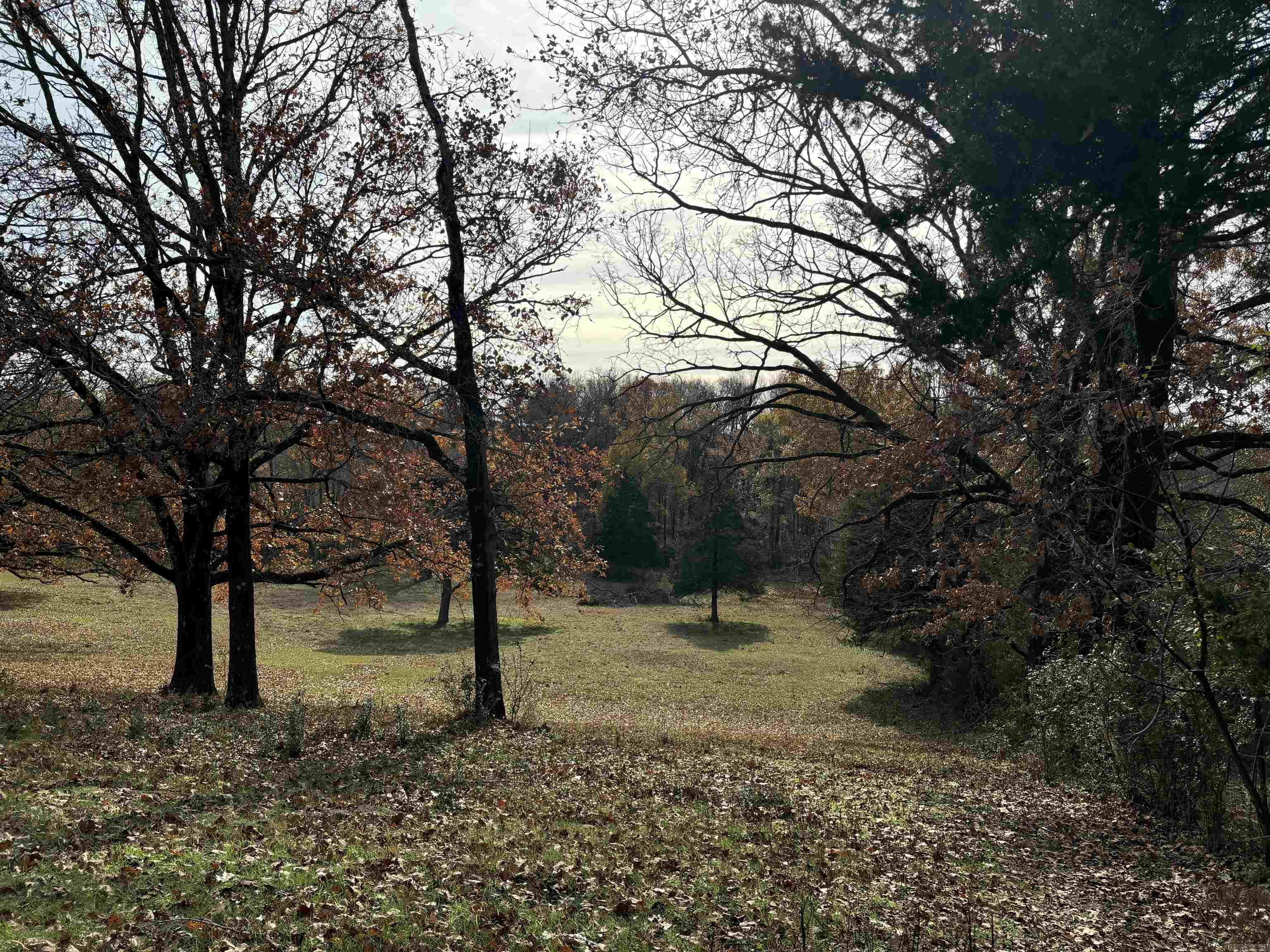 00  Cadron Gap Road  Conway, AR