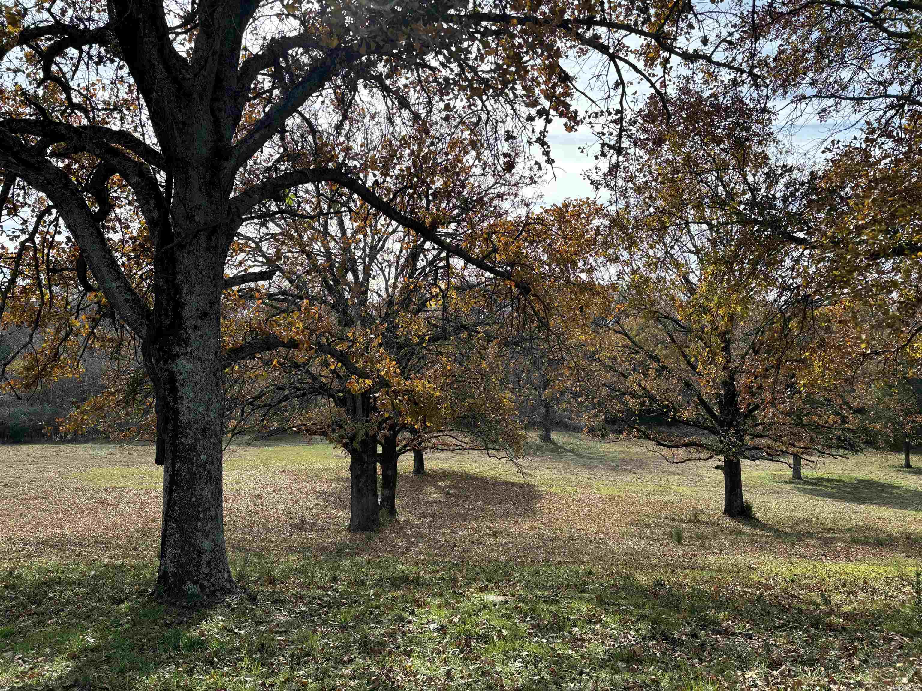 00  Cadron Gap Road  Conway, AR