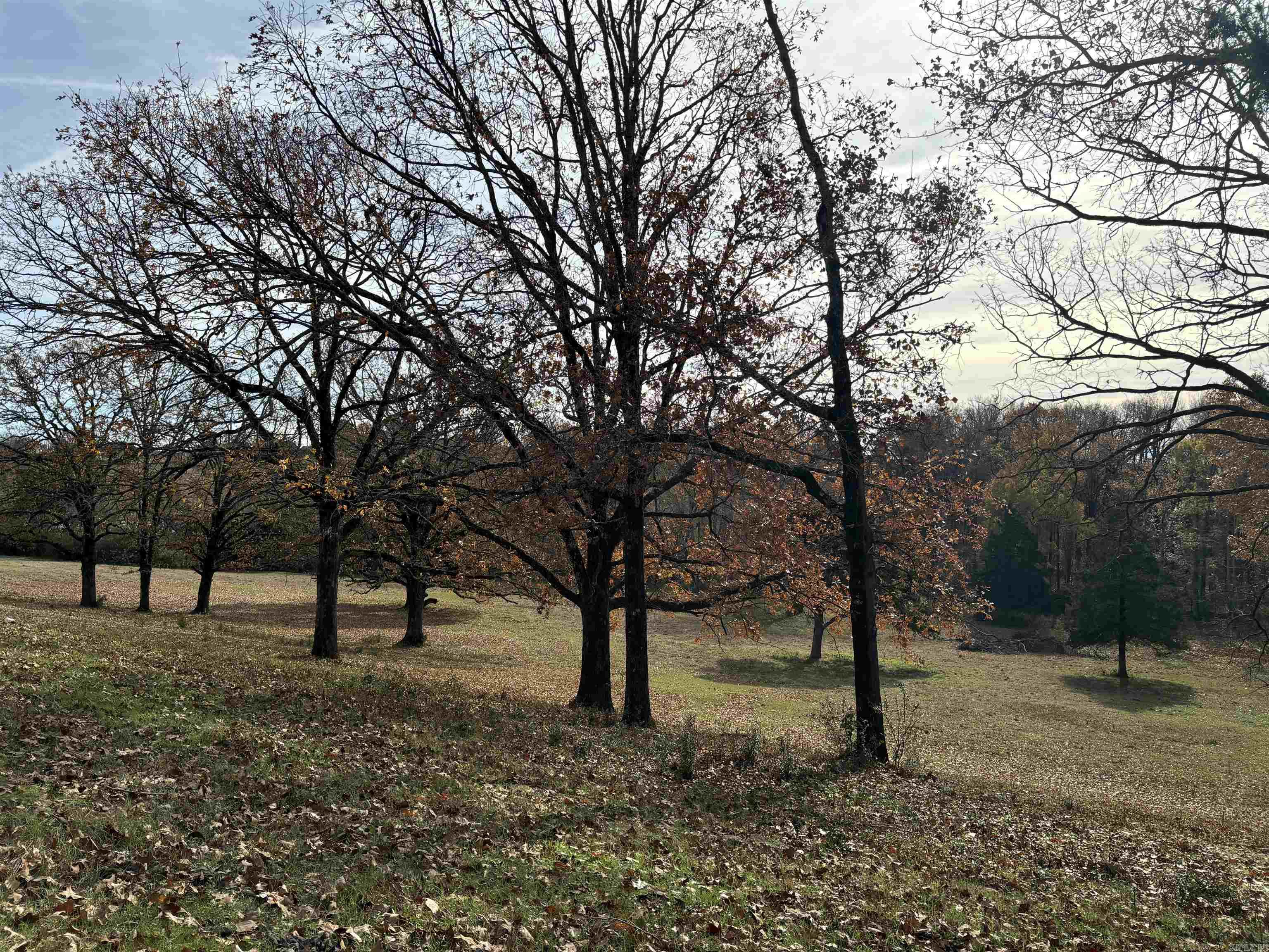 00  Cadron Gap Road  Conway, AR