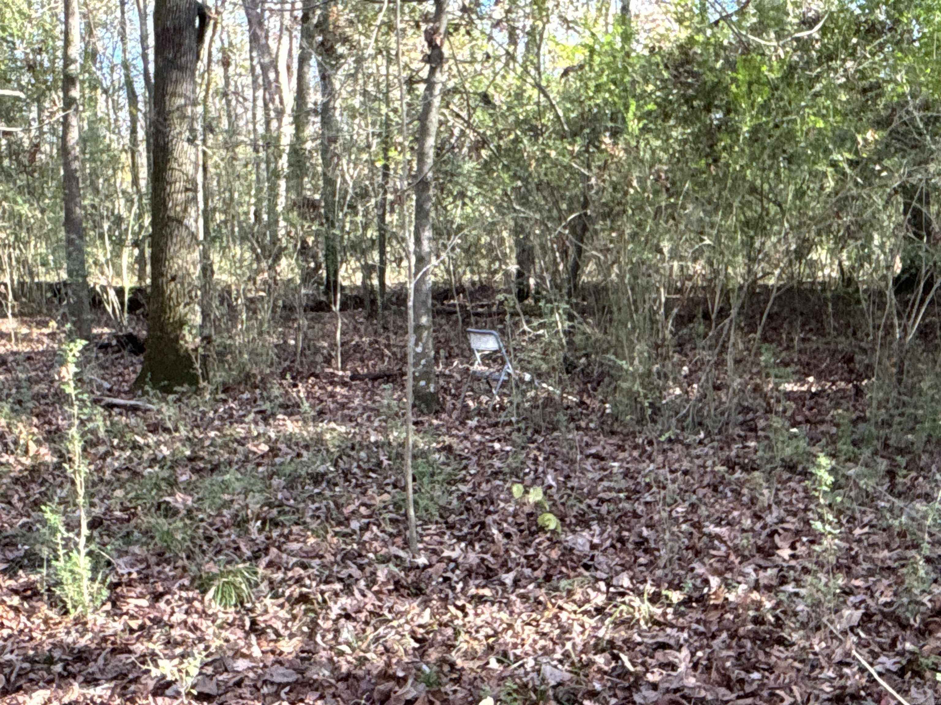 000  Cocklebur  Ward, AR