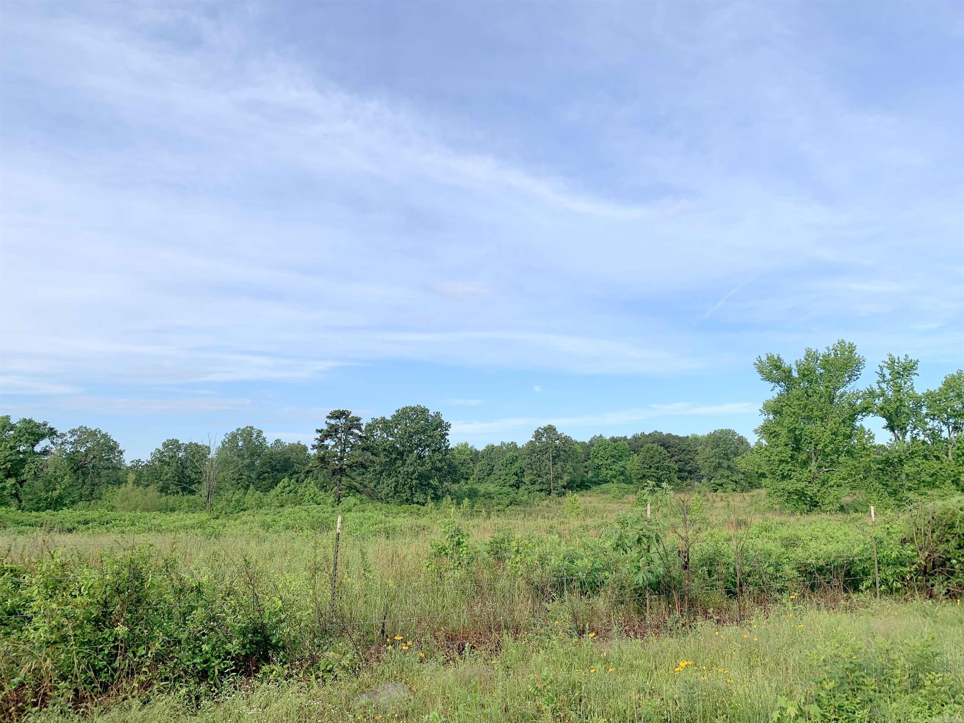   C A Holland Rd  Quitman, AR