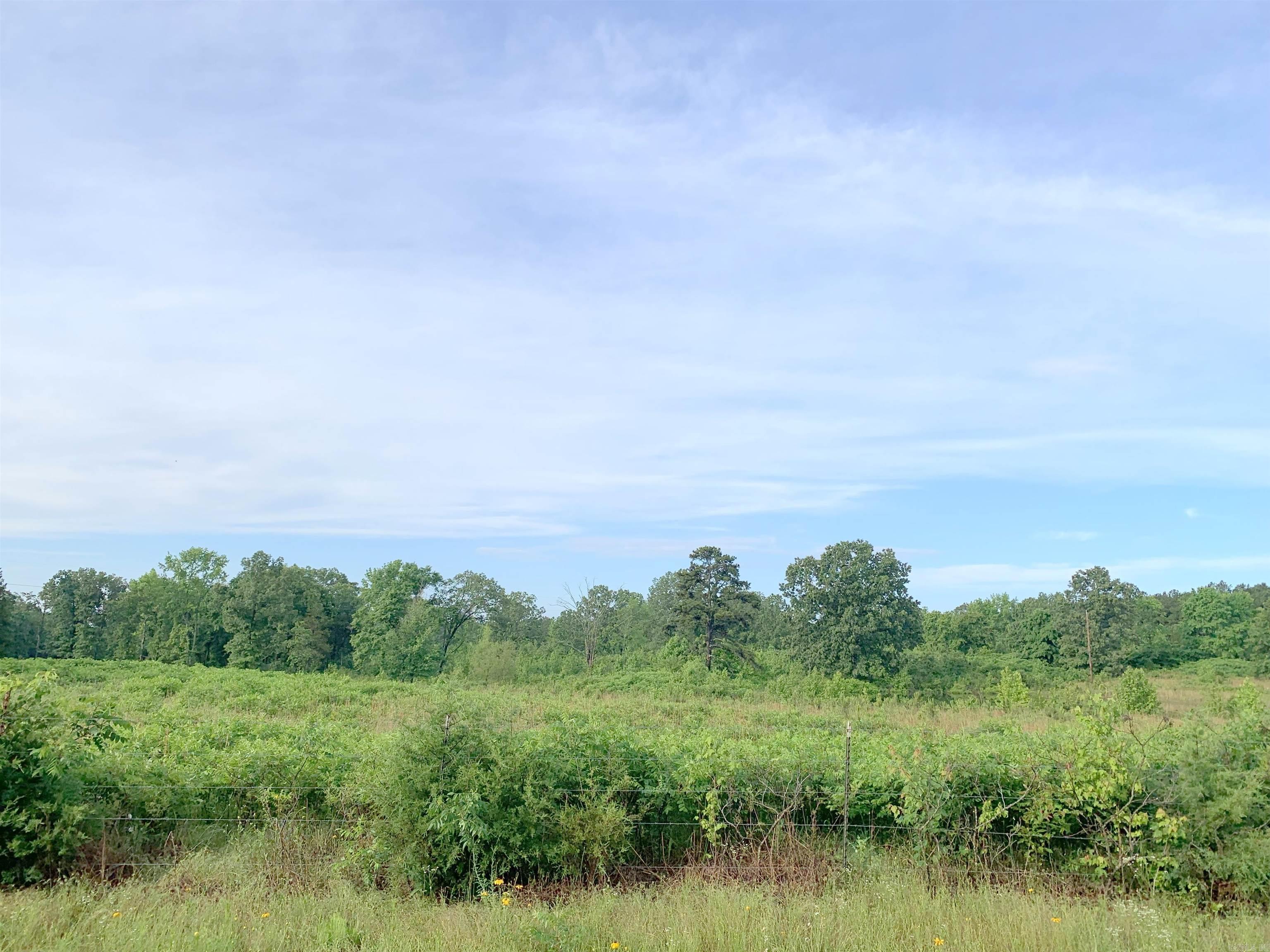   C A Holland Rd  Quitman, AR