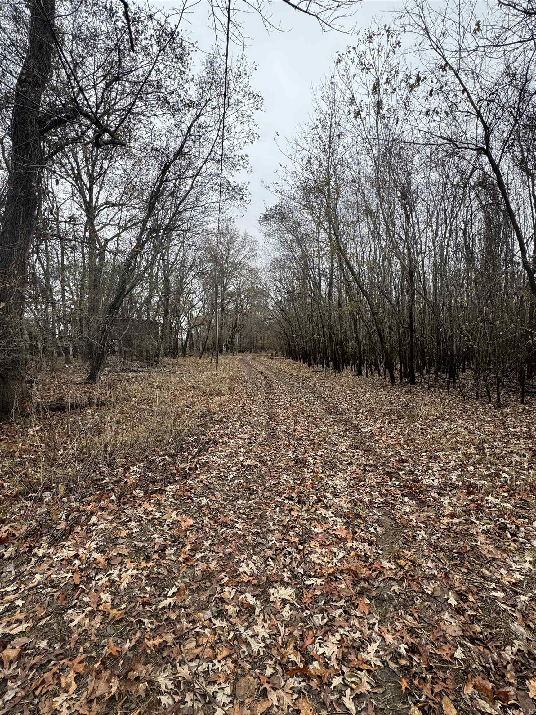 000  County Line  Bald Knob, AR