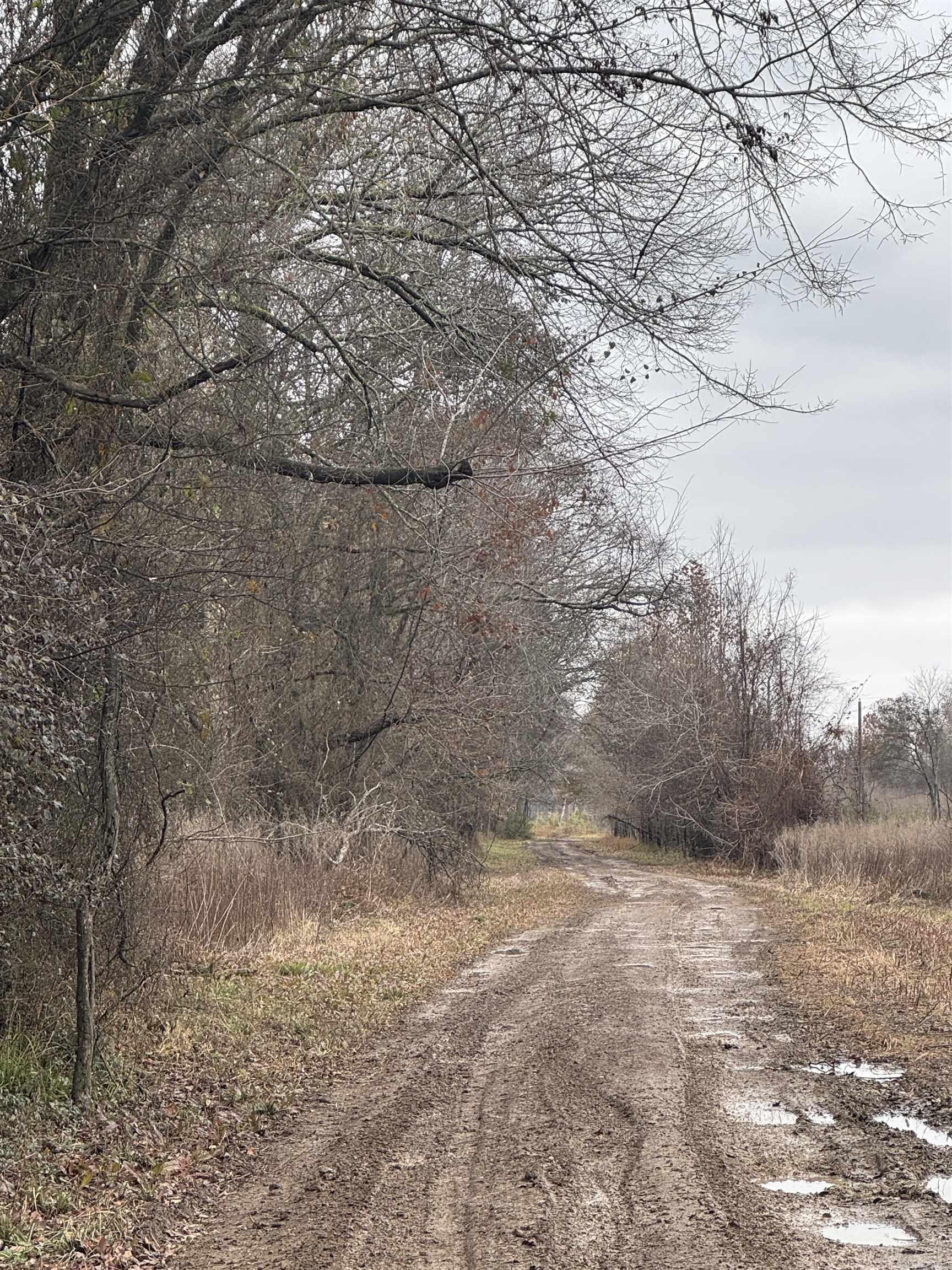 000  County Line  Bald Knob, AR