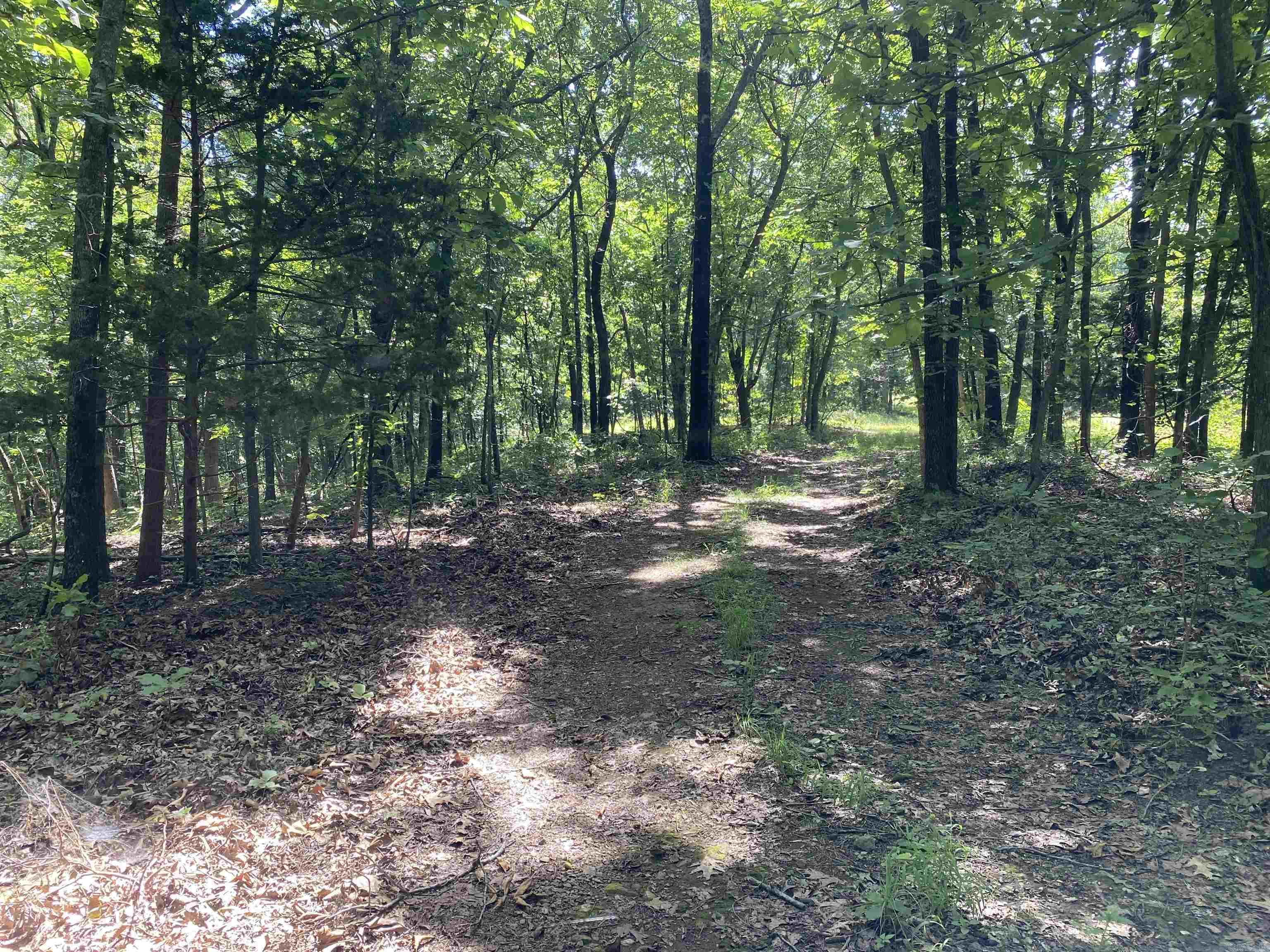 14568 S AR Hwy 9  Melbourne, AR