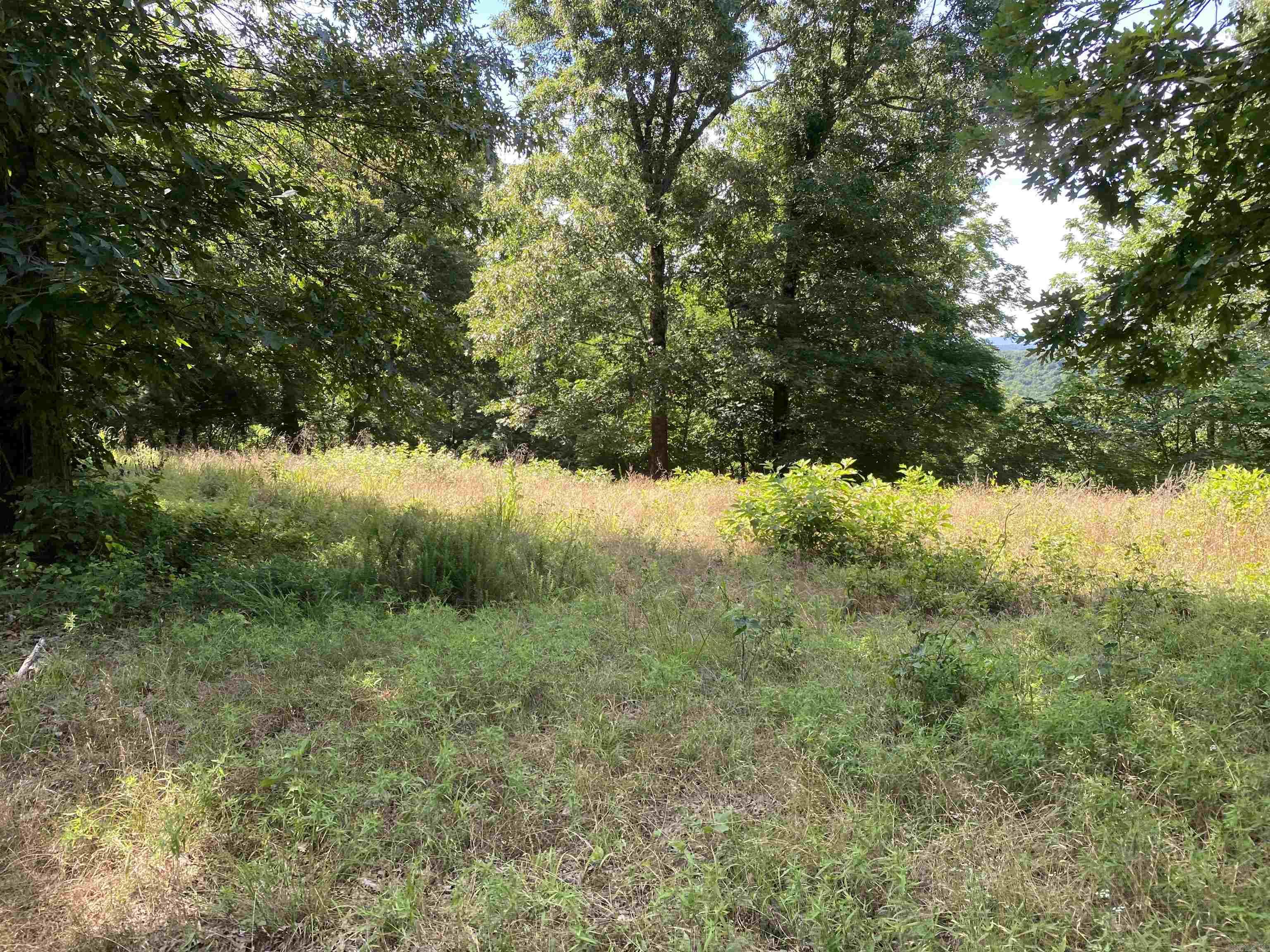 14568 S AR Hwy 9  Melbourne, AR