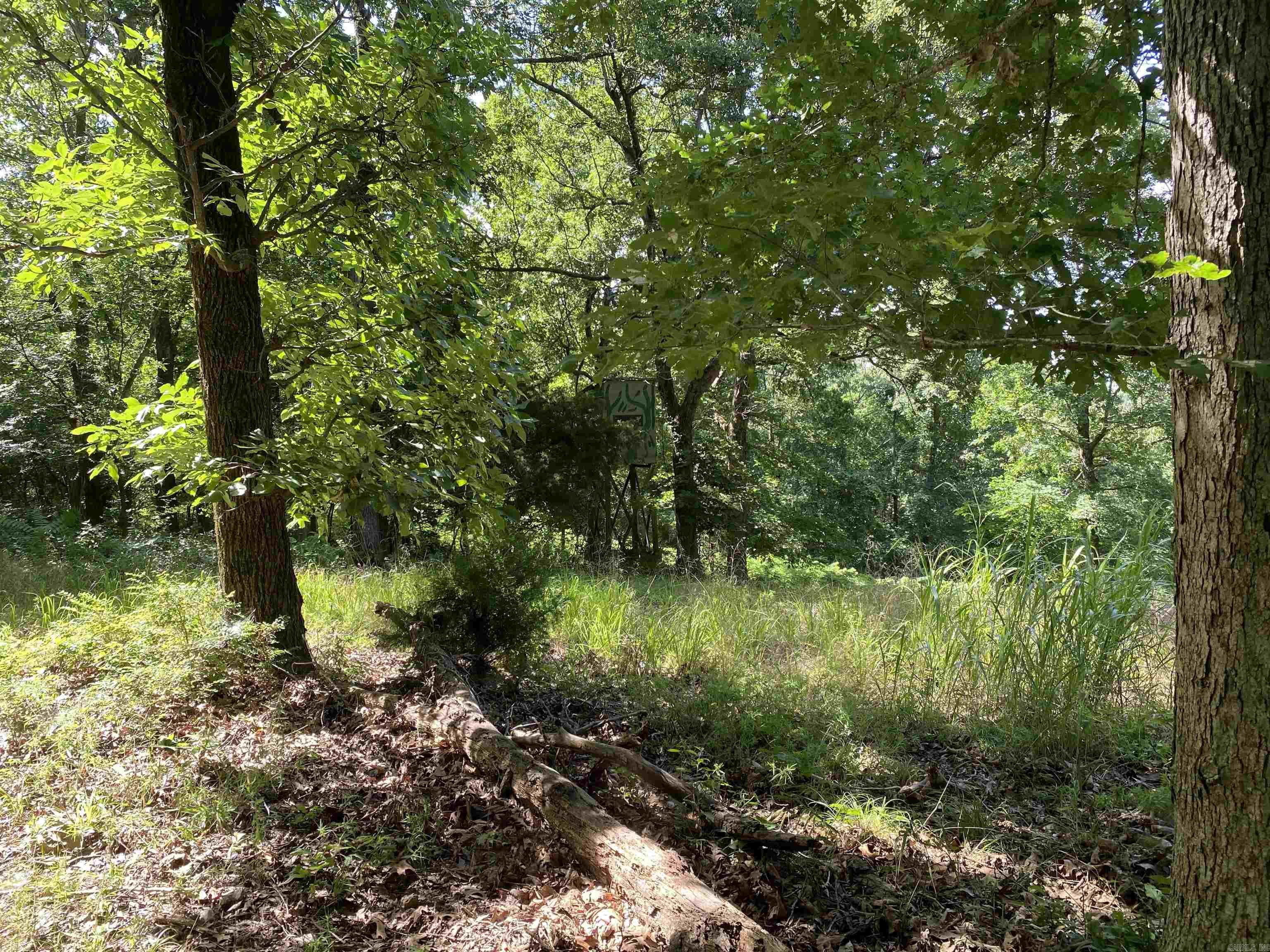 14568 S AR Hwy 9  Melbourne, AR