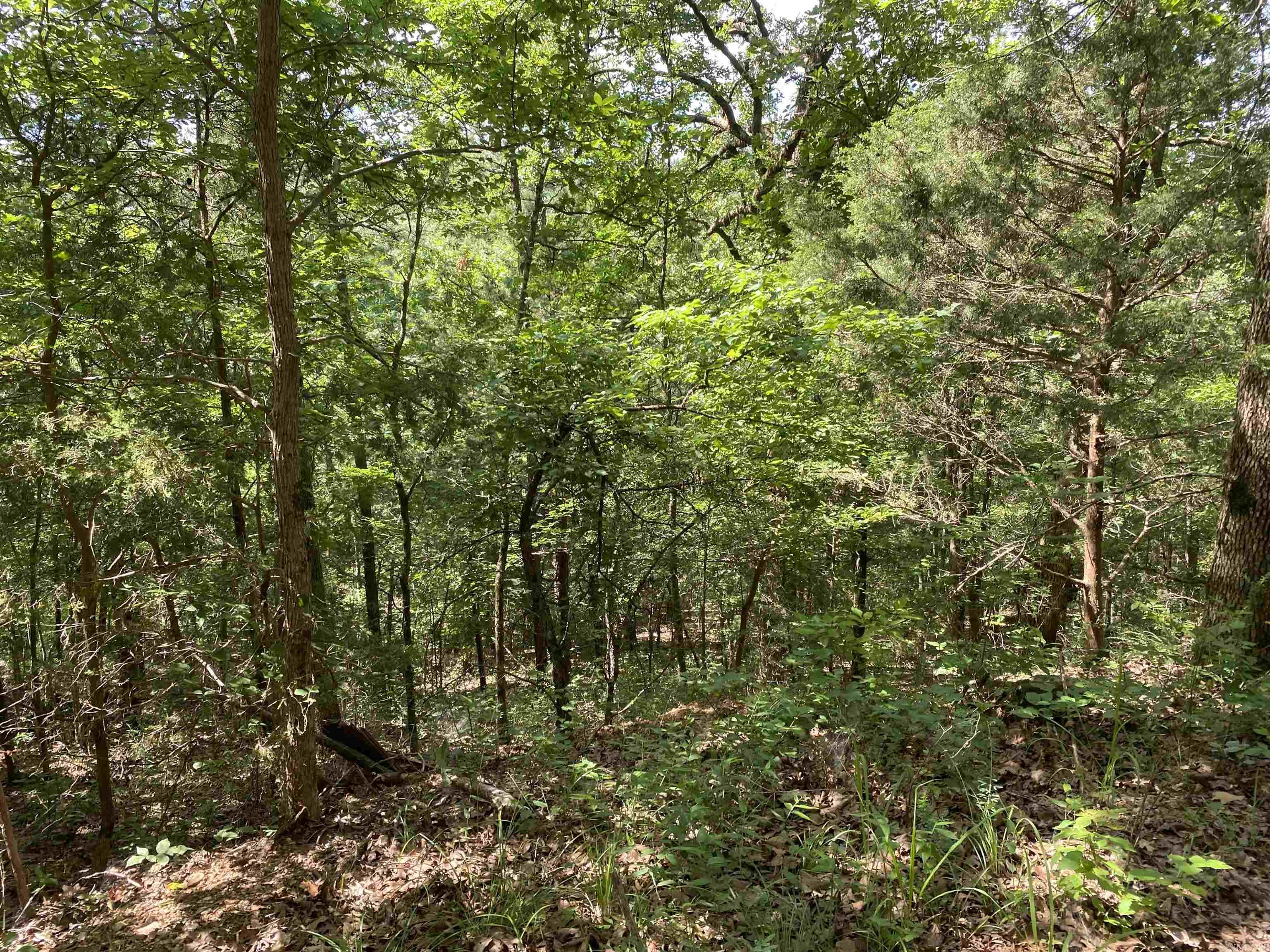 14568 S AR Hwy 9  Melbourne, AR