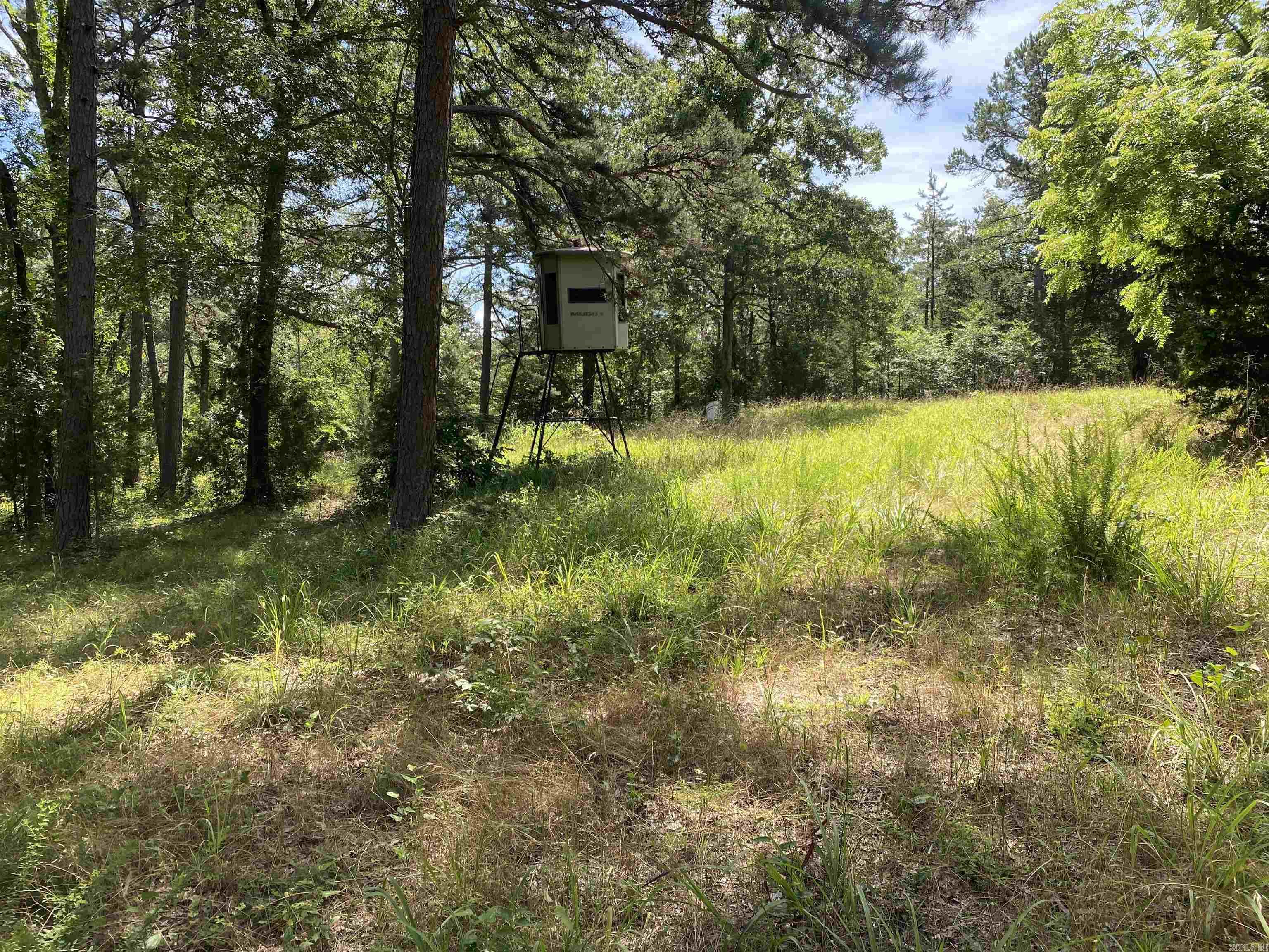 14568 S AR Hwy 9  Melbourne, AR