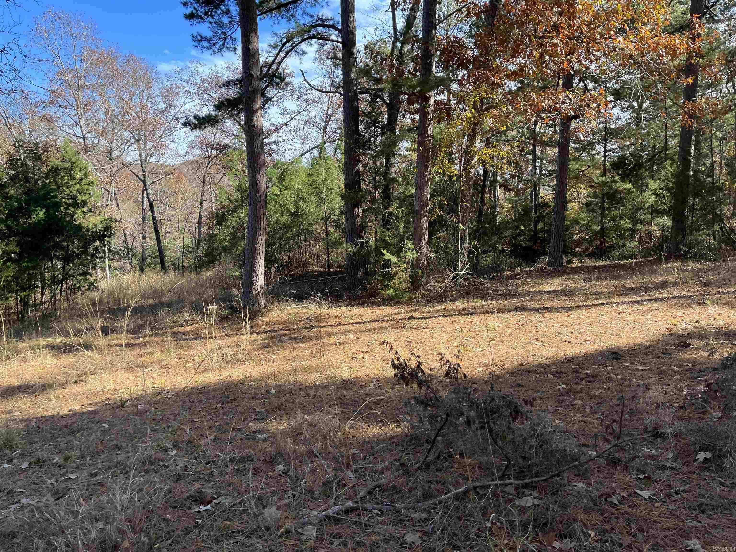 14568 S AR Hwy 9  Melbourne, AR