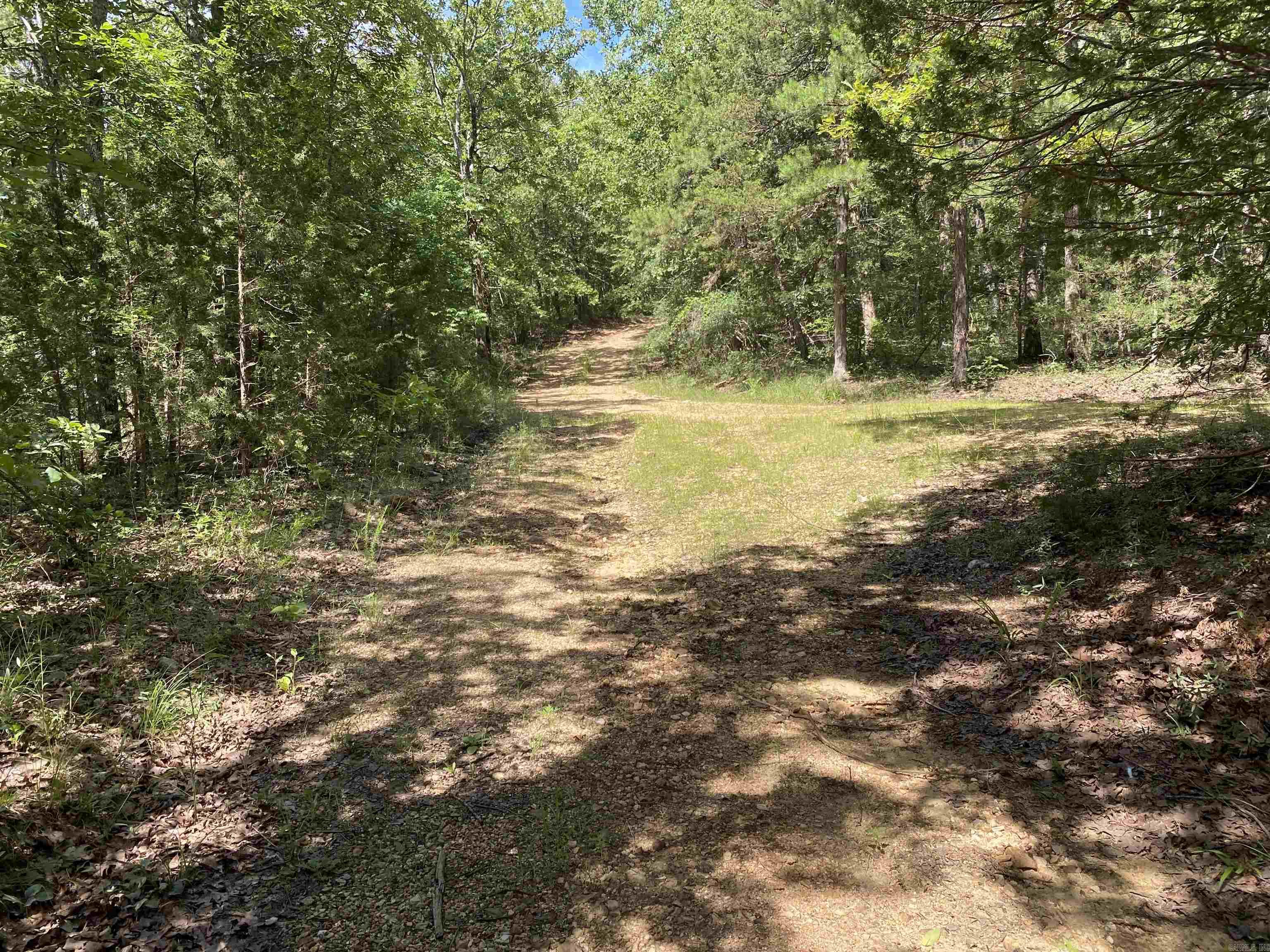 14568 S AR Hwy 9  Melbourne, AR