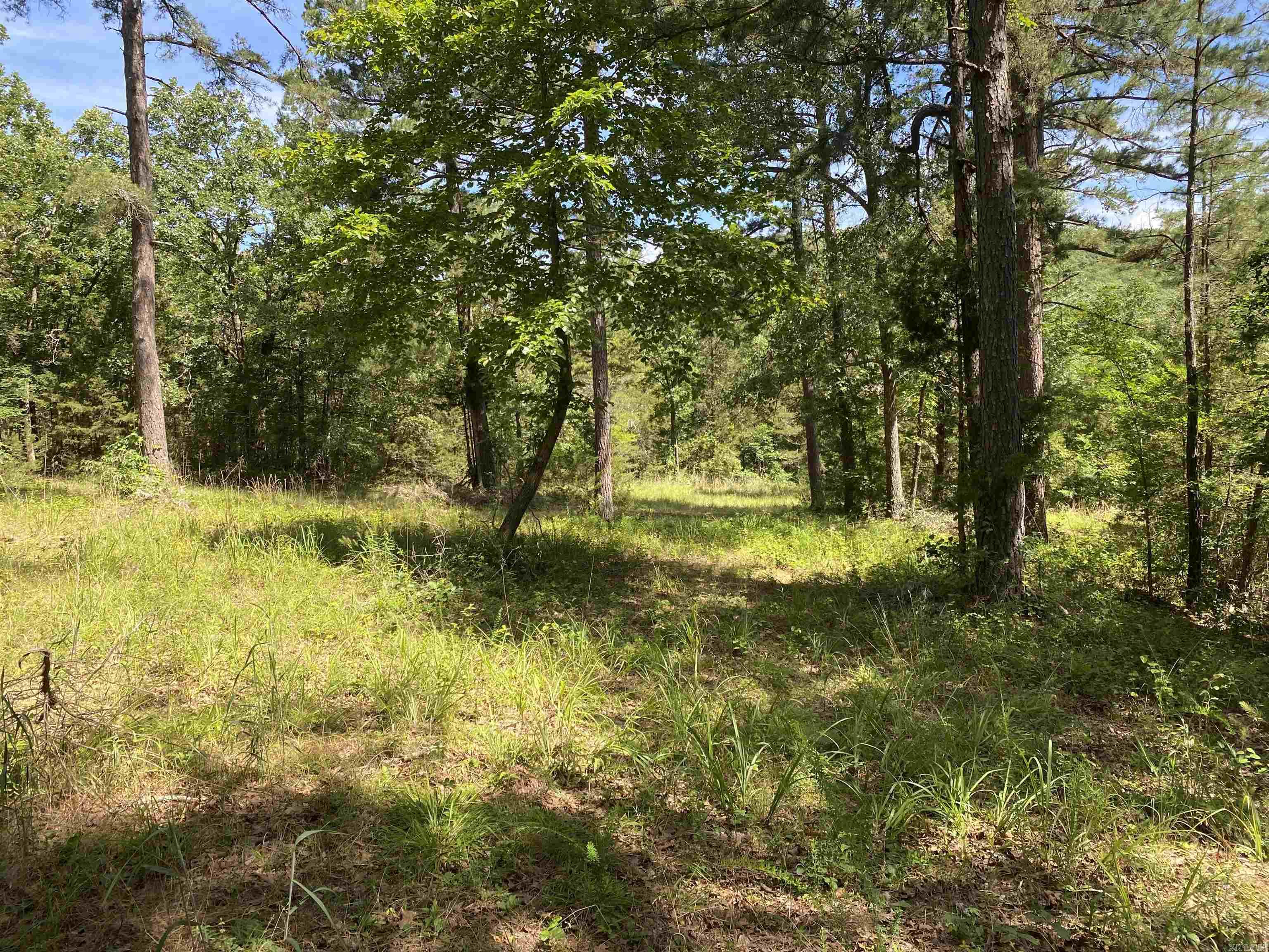 14568 S AR Hwy 9  Melbourne, AR