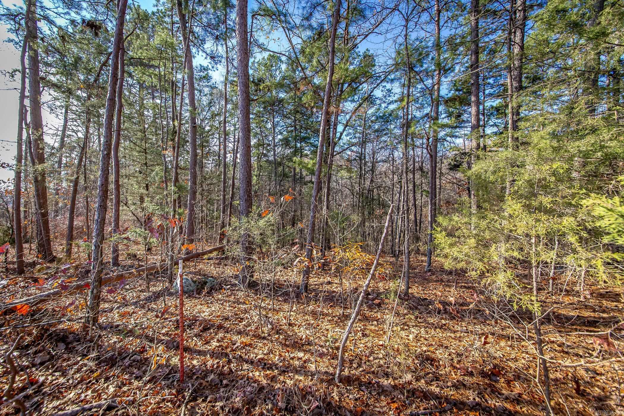 1832  Highway 65 N  Clinton, AR