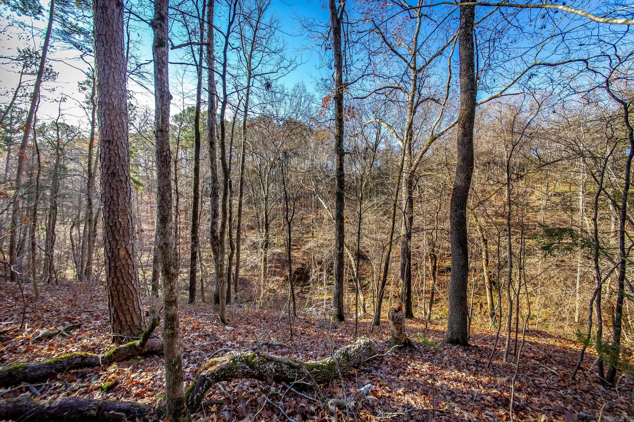 1832  Highway 65 N  Clinton, AR