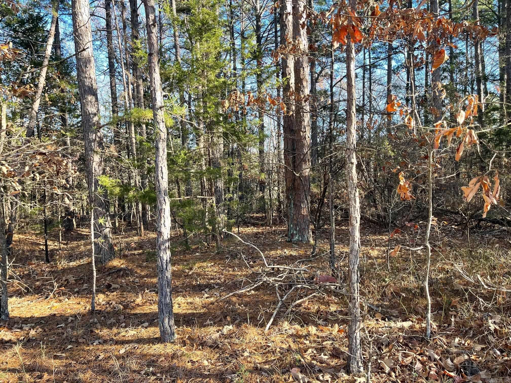 Lot 38R Block 3 Mountain Ranch Drive