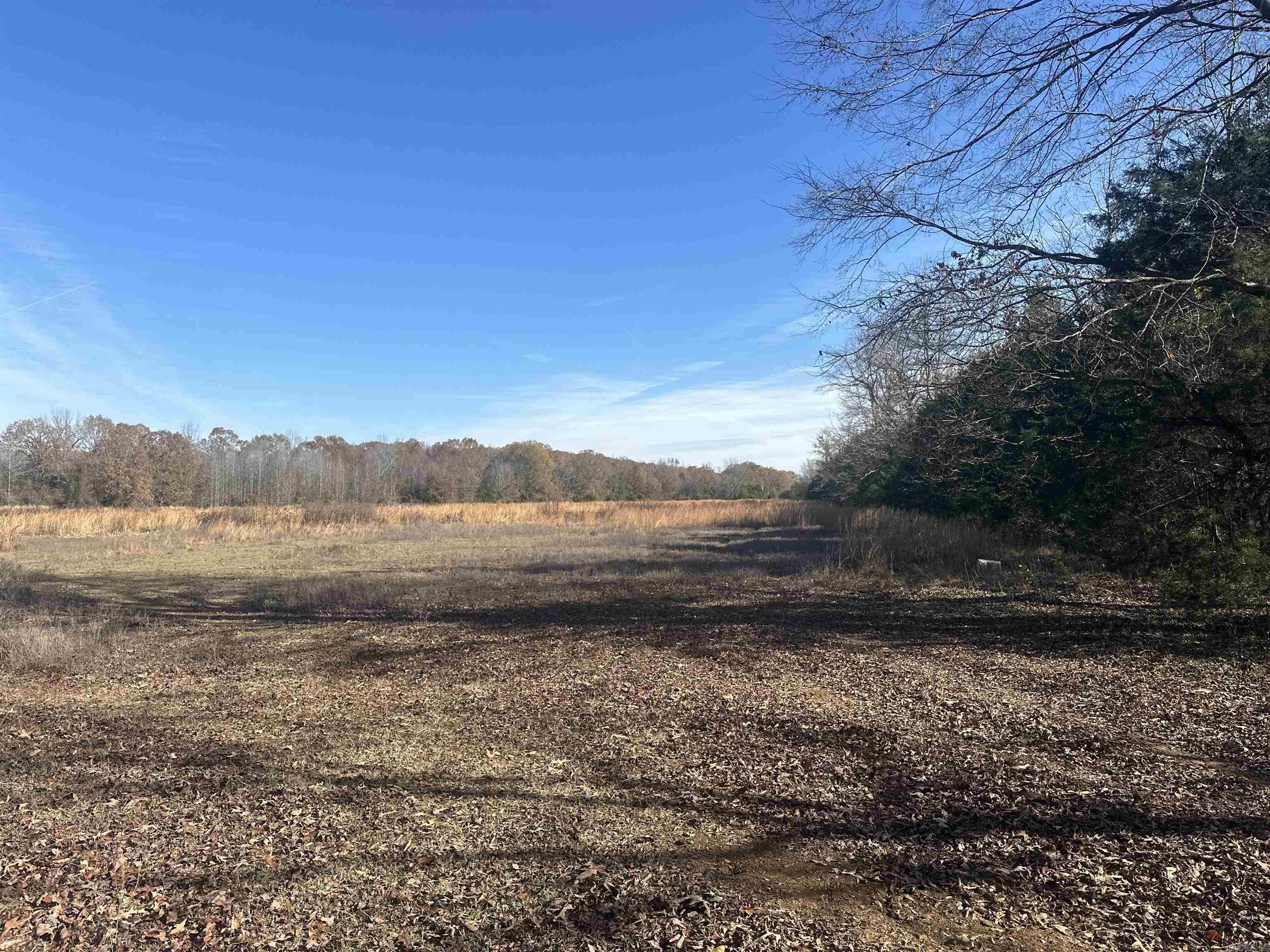 29  Faulkner  Gap  Mayflower, AR
