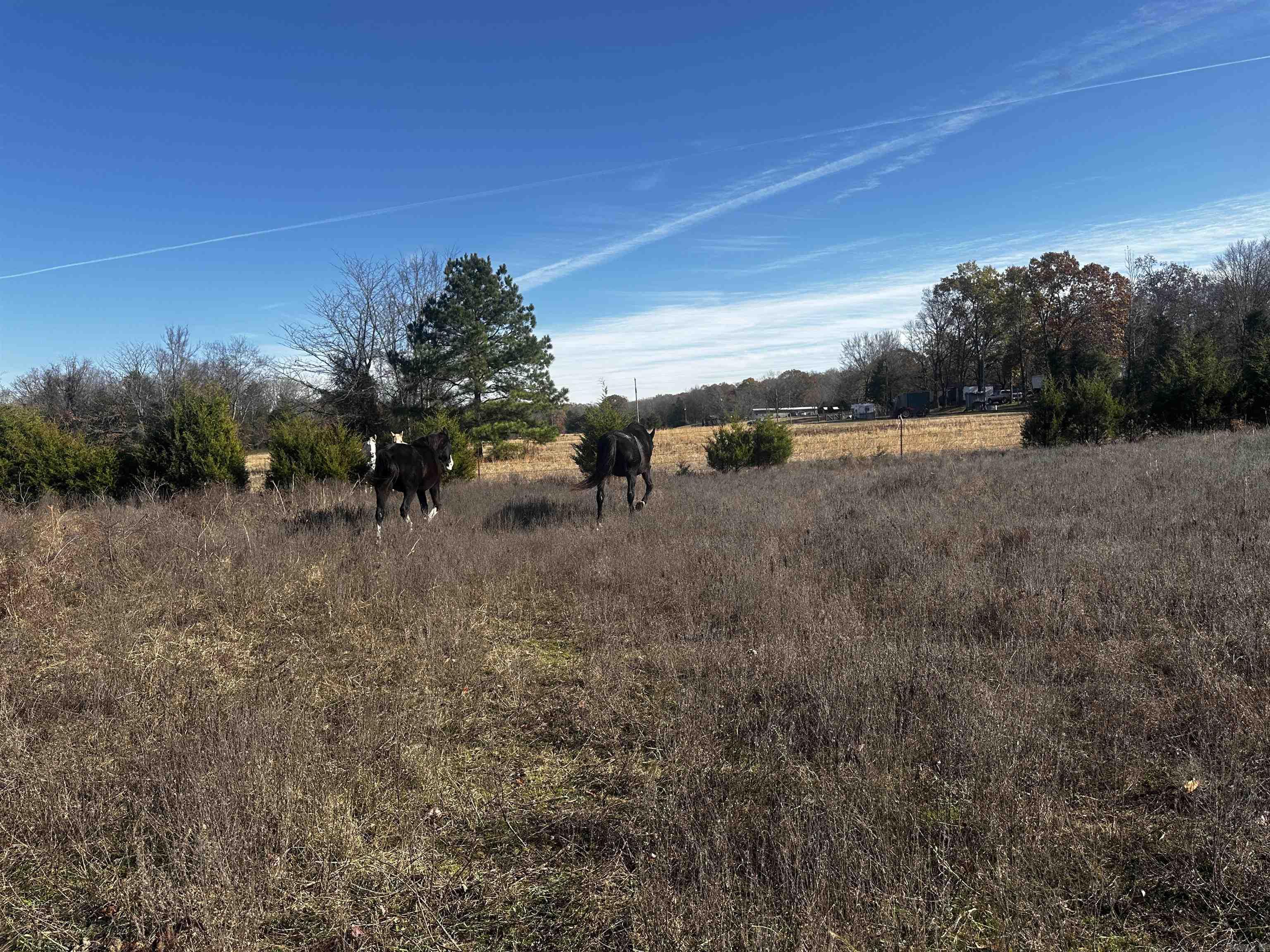 29  Faulkner  Gap  Mayflower, AR