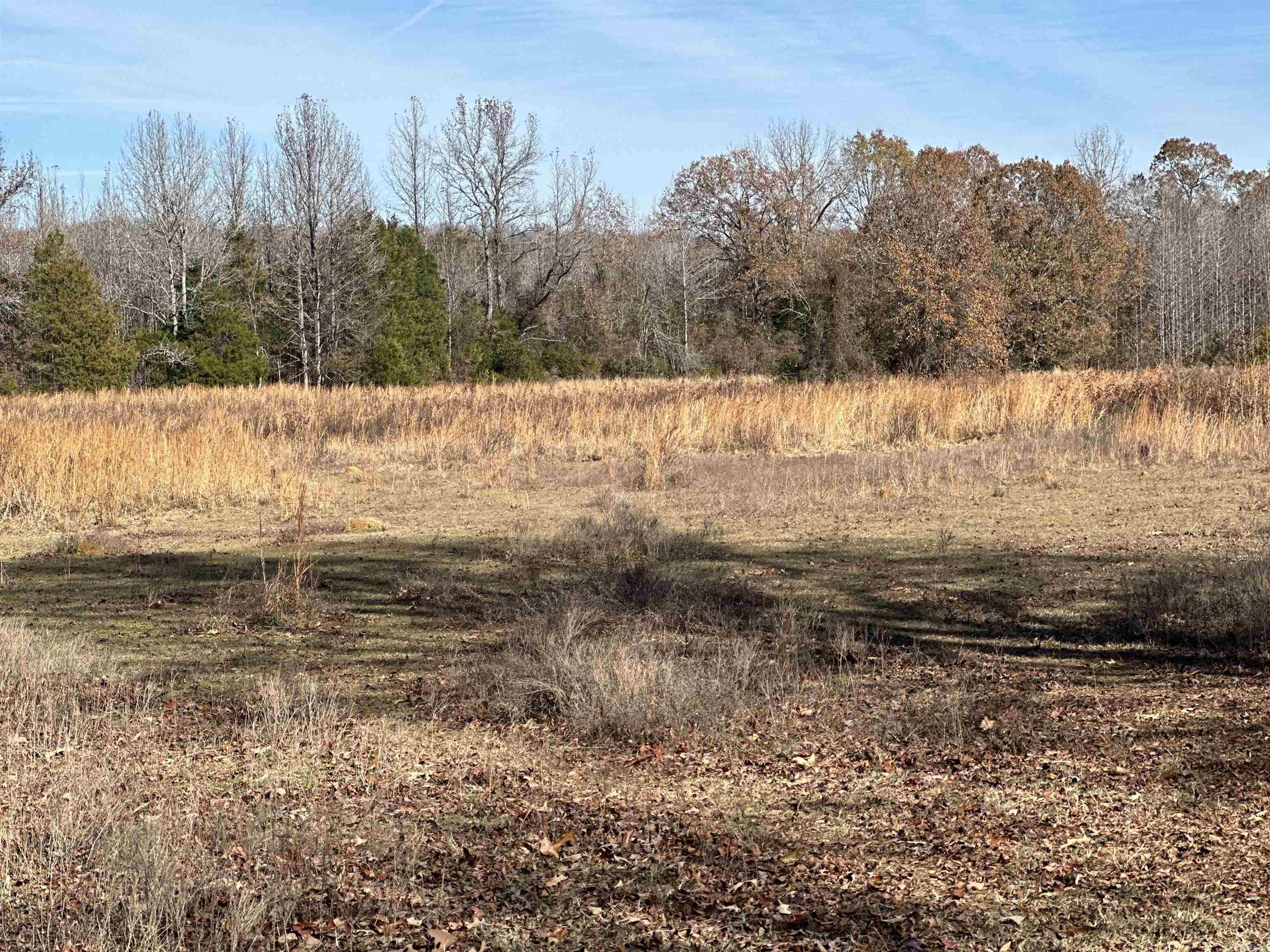 29  Faulkner  Gap  Mayflower, AR