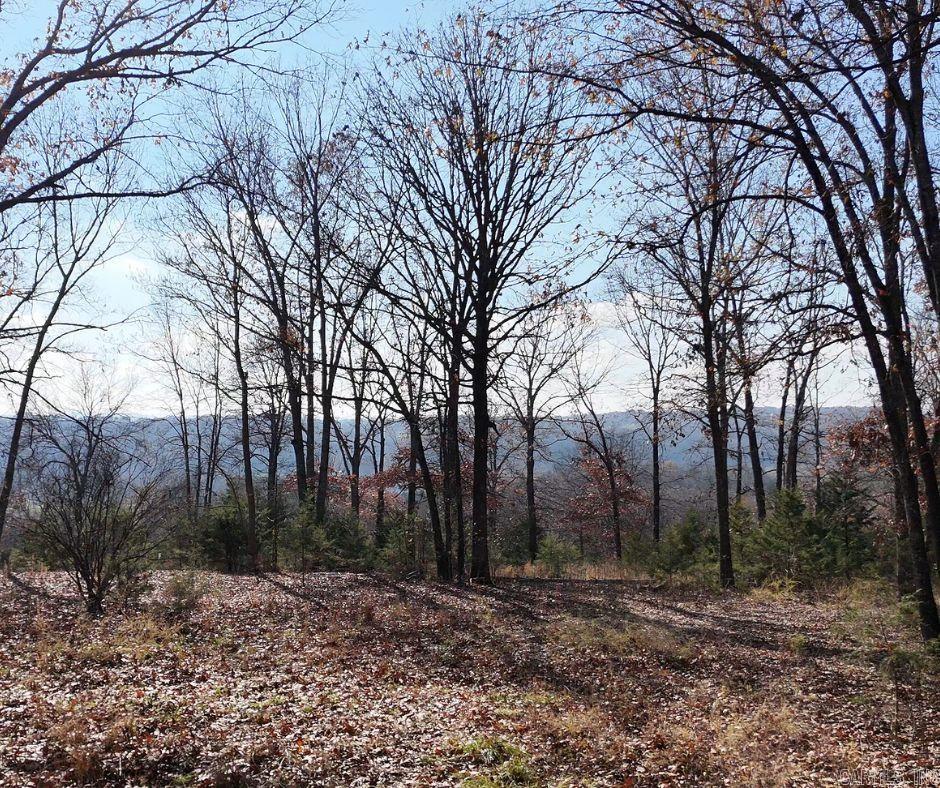2465  Denton Ferry Road  Cotter, AR