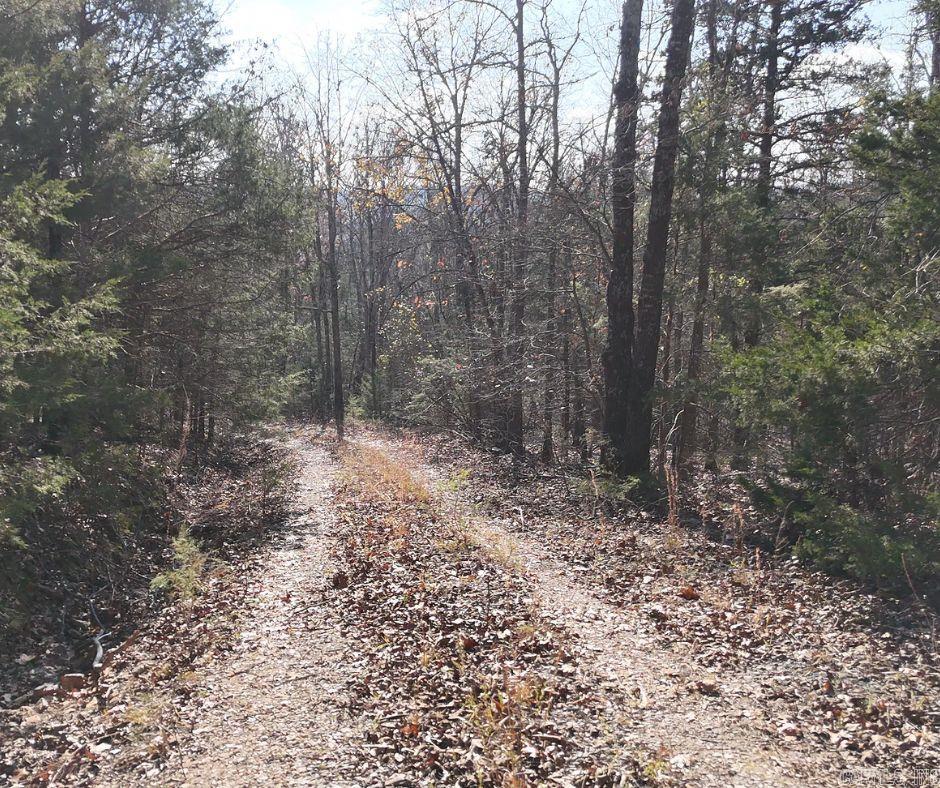 2465  Denton Ferry Road  Cotter, AR