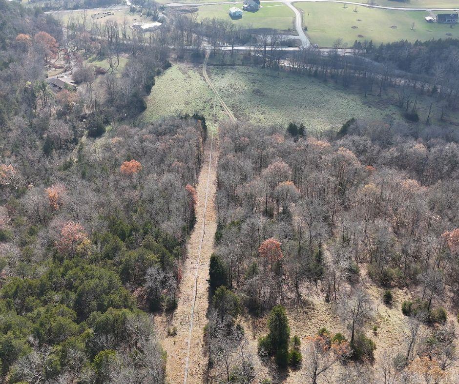 2465  Denton Ferry Road  Cotter, AR