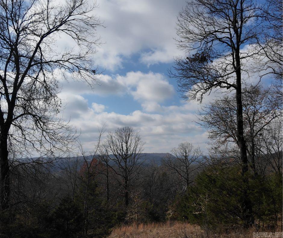 2465  Denton Ferry Road  Cotter, AR