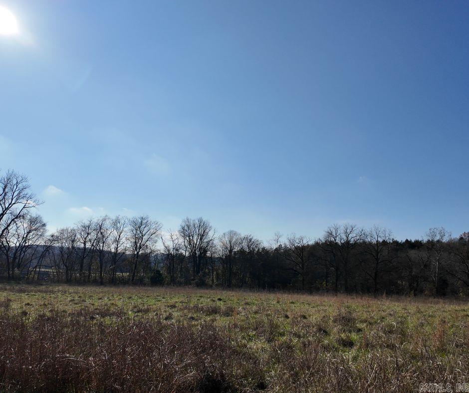 2465  Denton Ferry Road  Cotter, AR