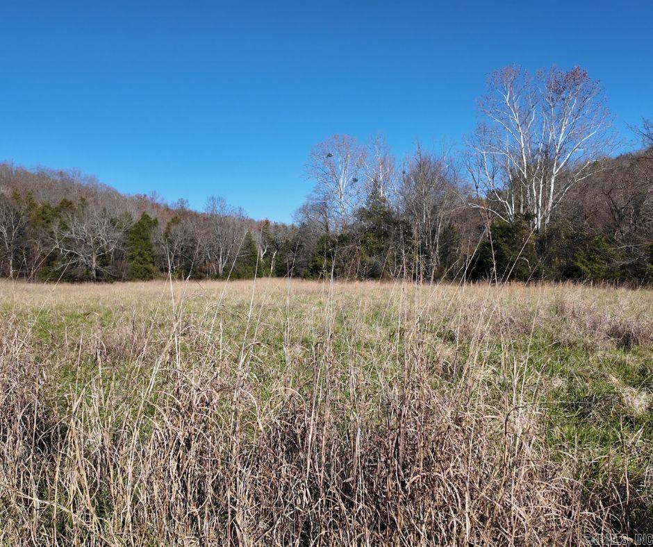 2465  Denton Ferry Road  Cotter, AR