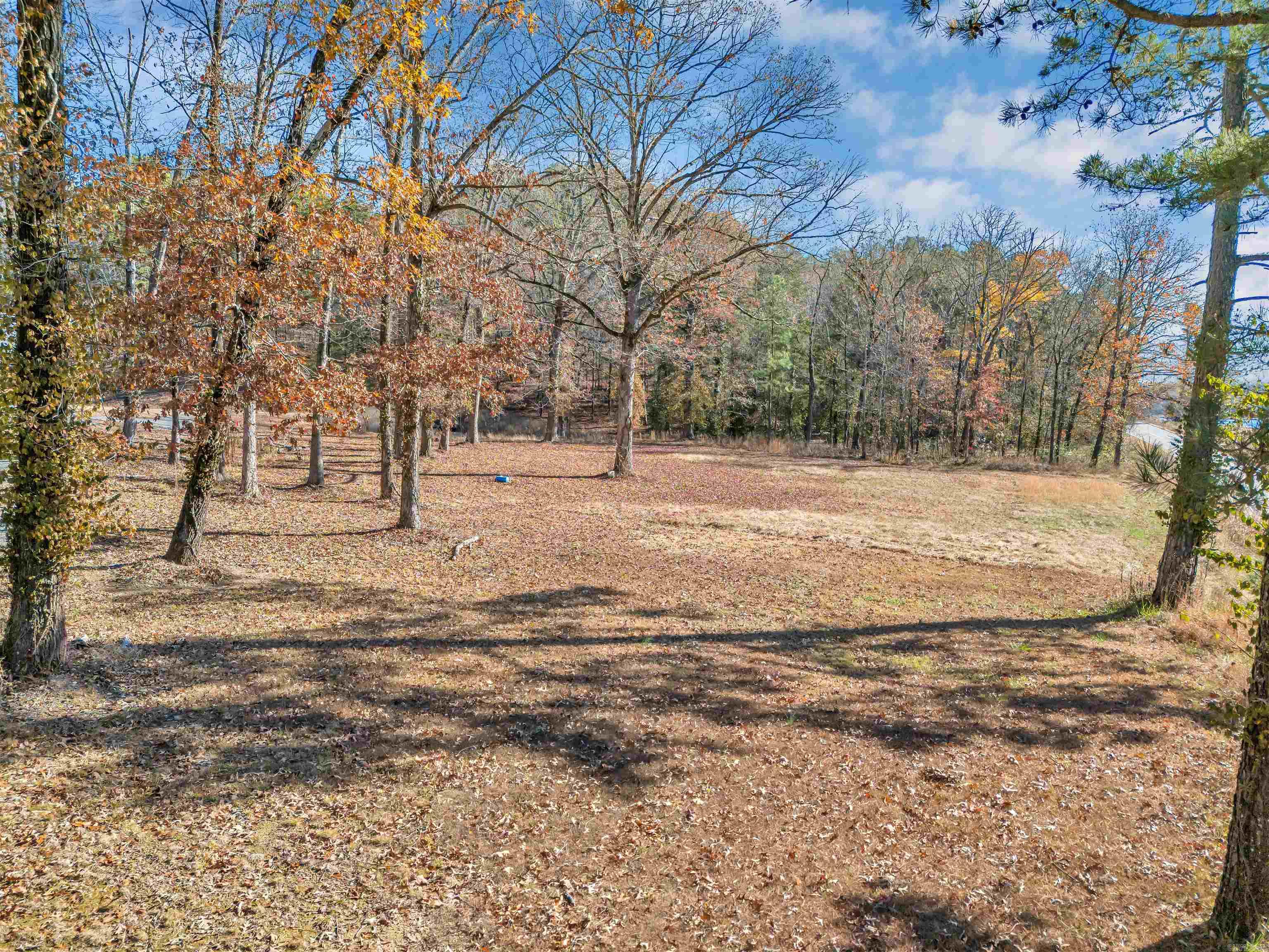 458  Cedar Creek  Center Ridge, AR