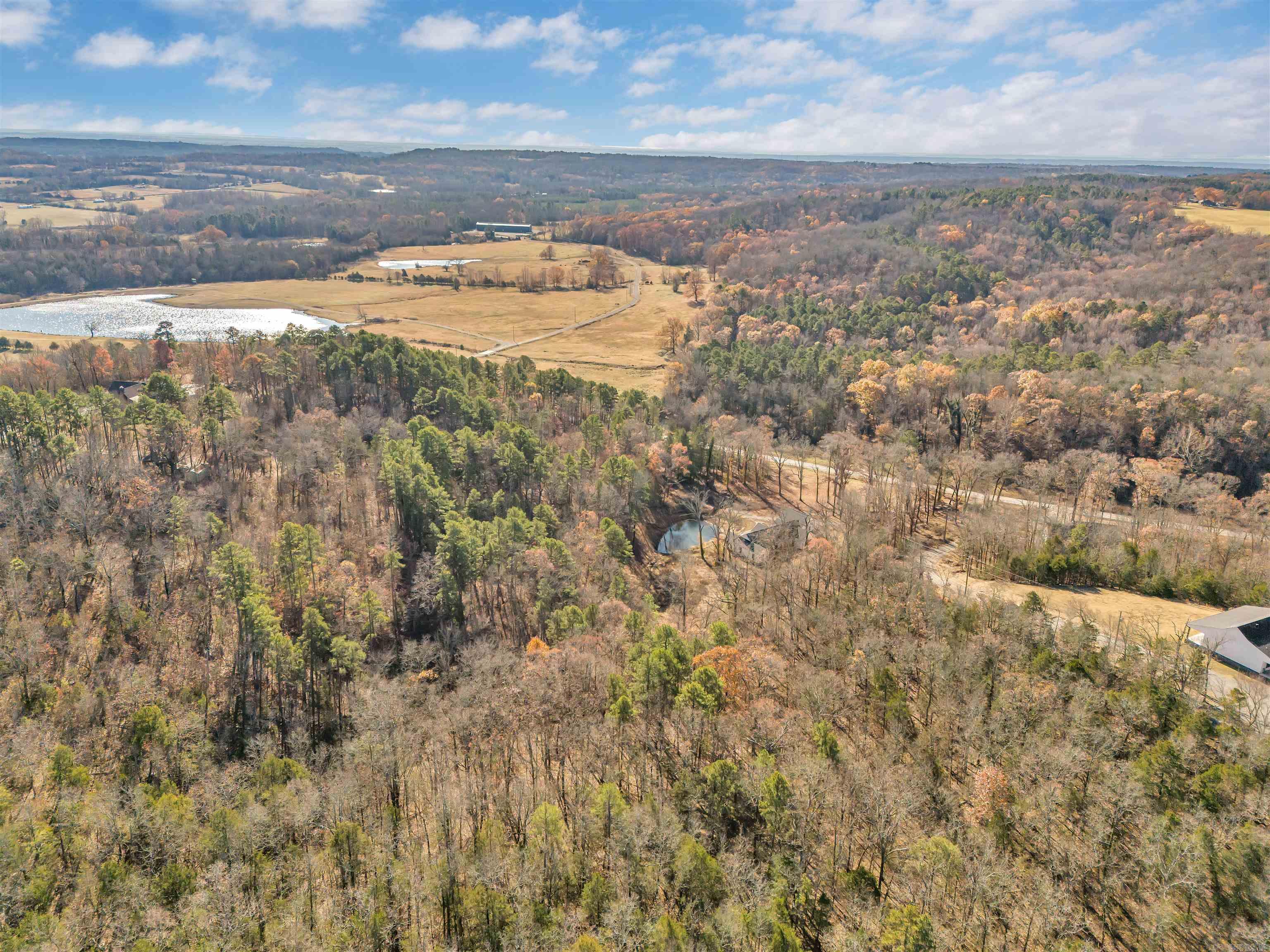 458  Cedar Creek  Center Ridge, AR