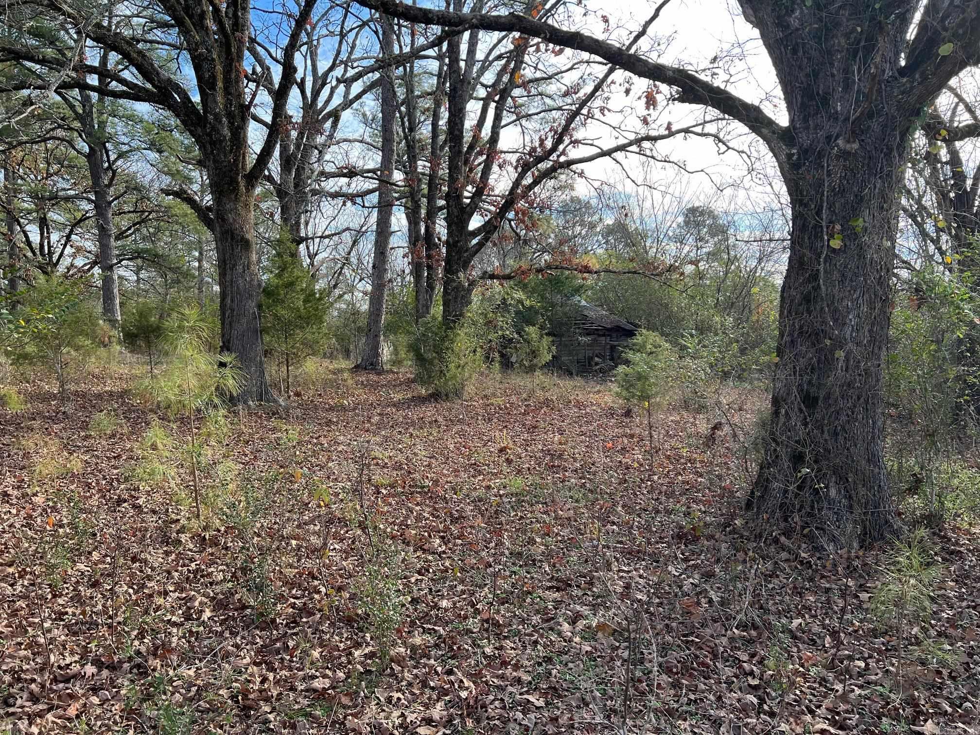 17797  Highway 298 E  Benton, AR