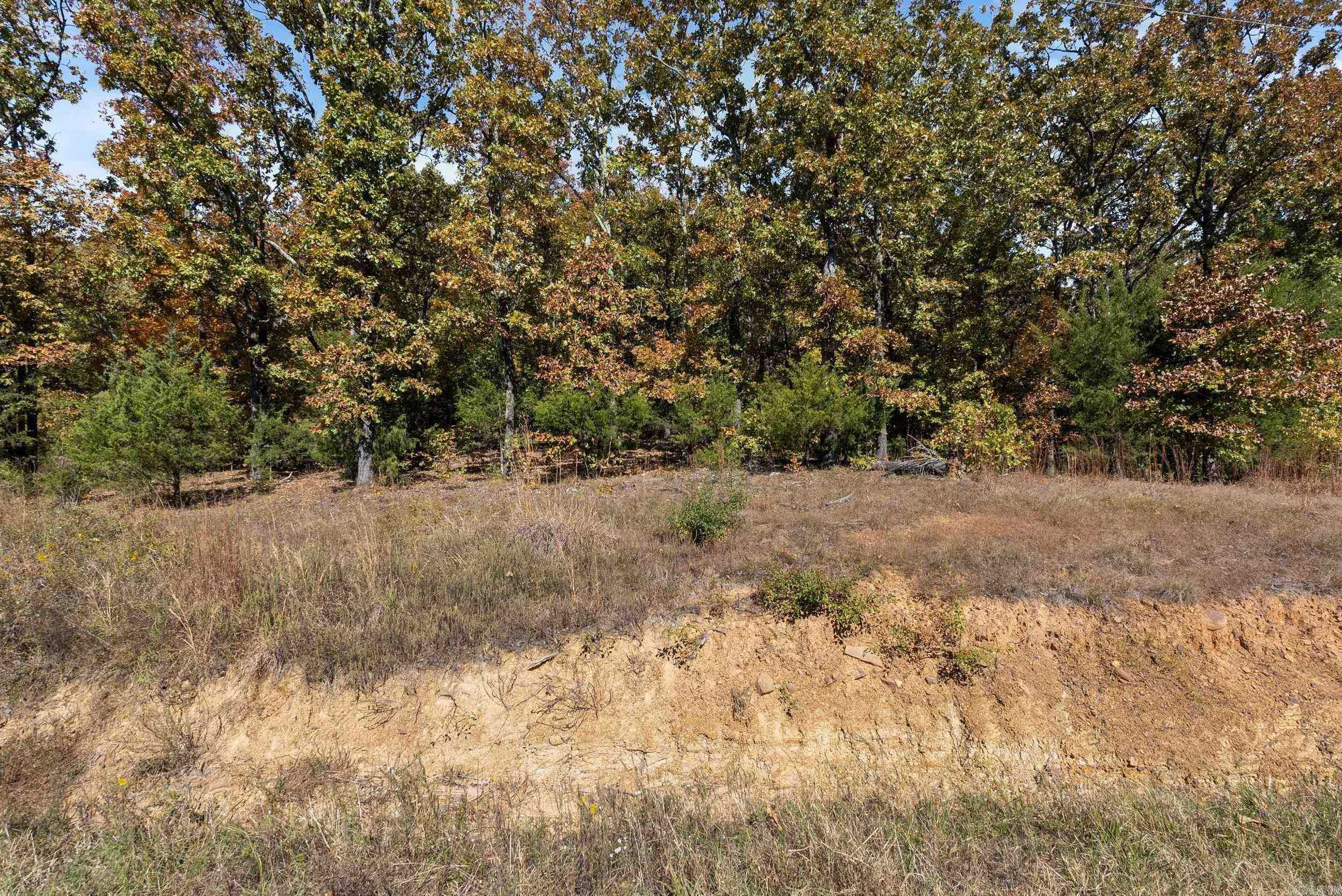 Lot 36  Mystic  Conway, AR
