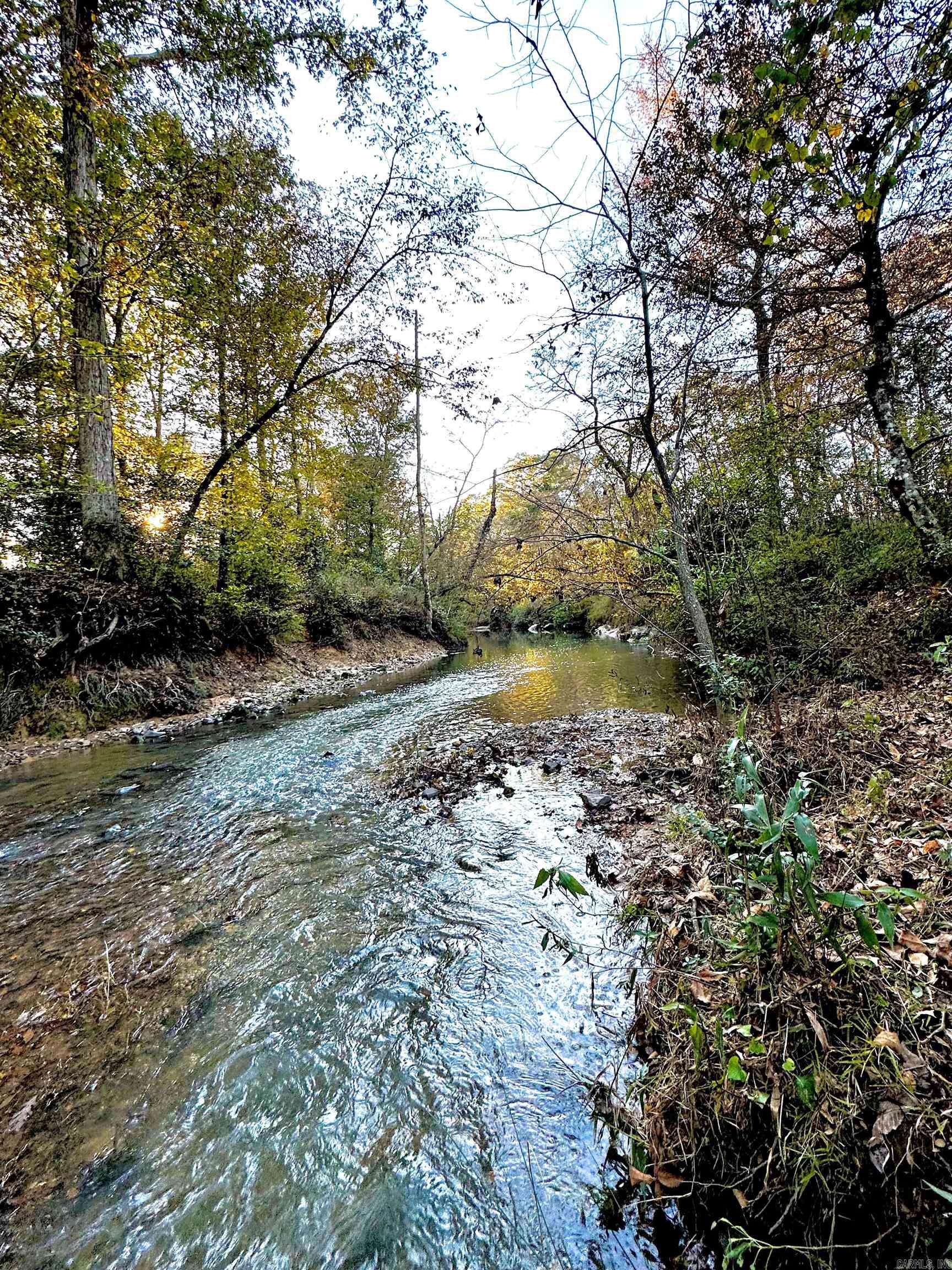 Tract 1  TBD Polk 31  Cove, AR