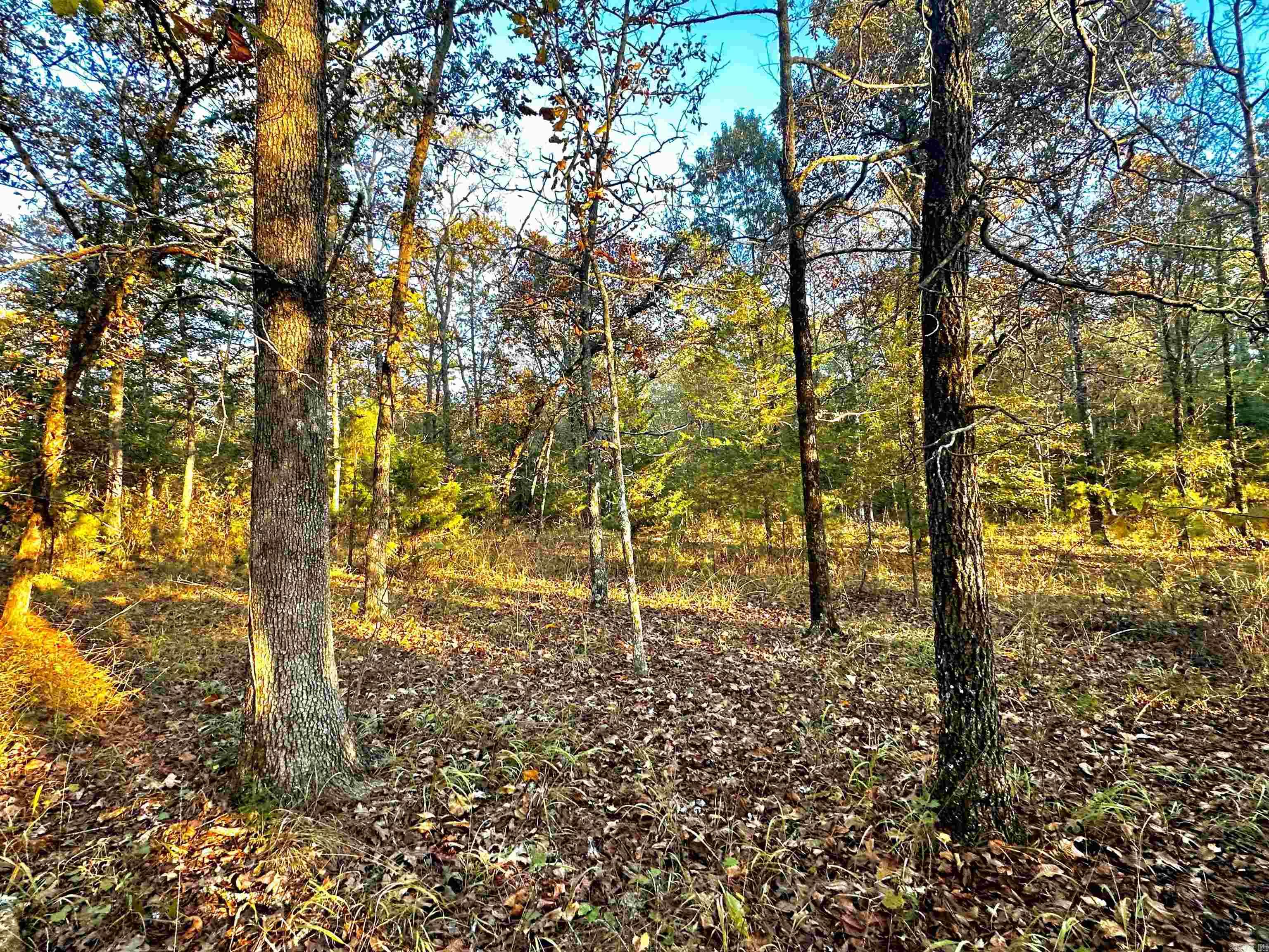 Tract 1  TBD Polk 31  Cove, AR