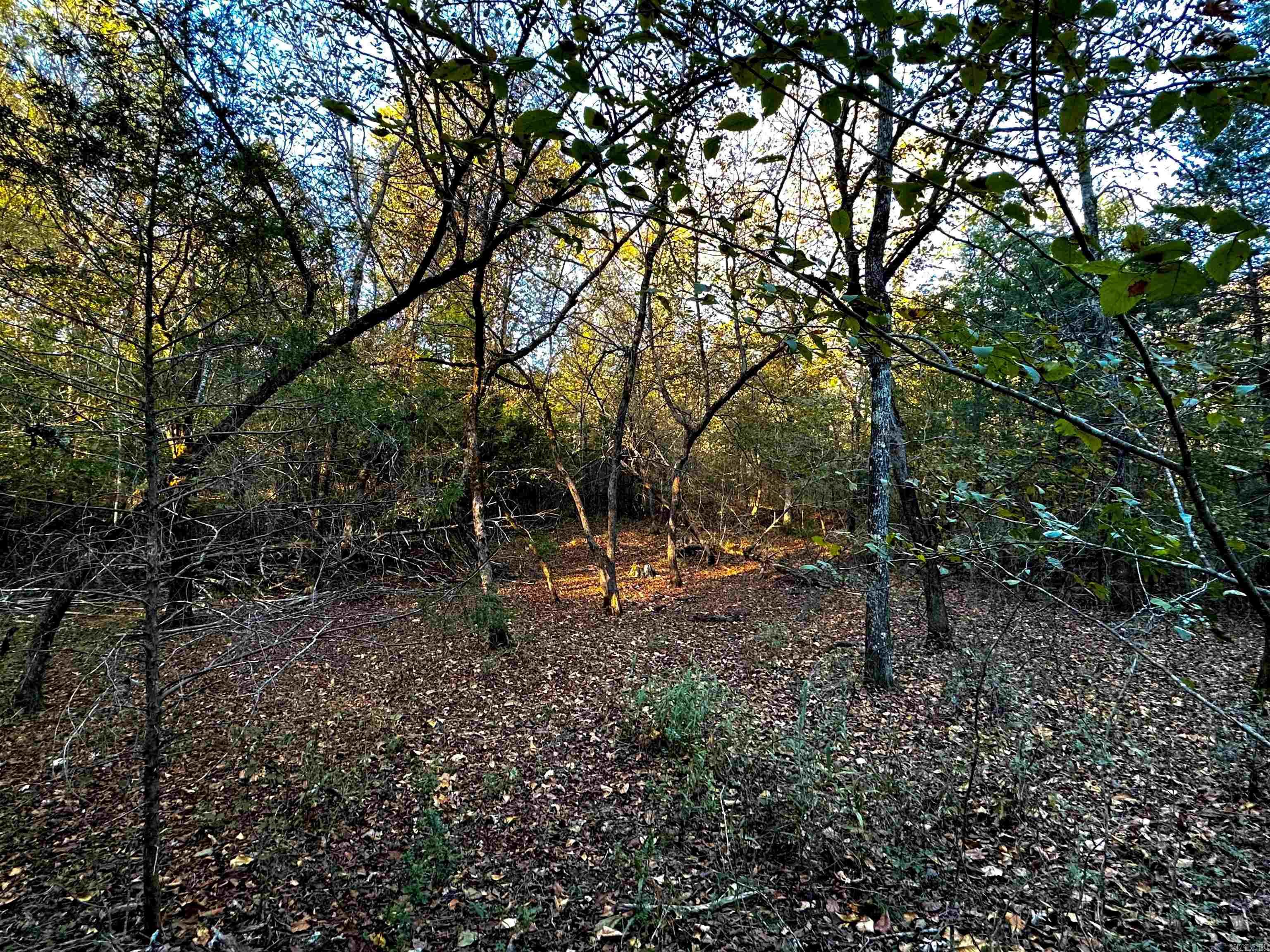 Tract 1  TBD Polk 31  Cove, AR