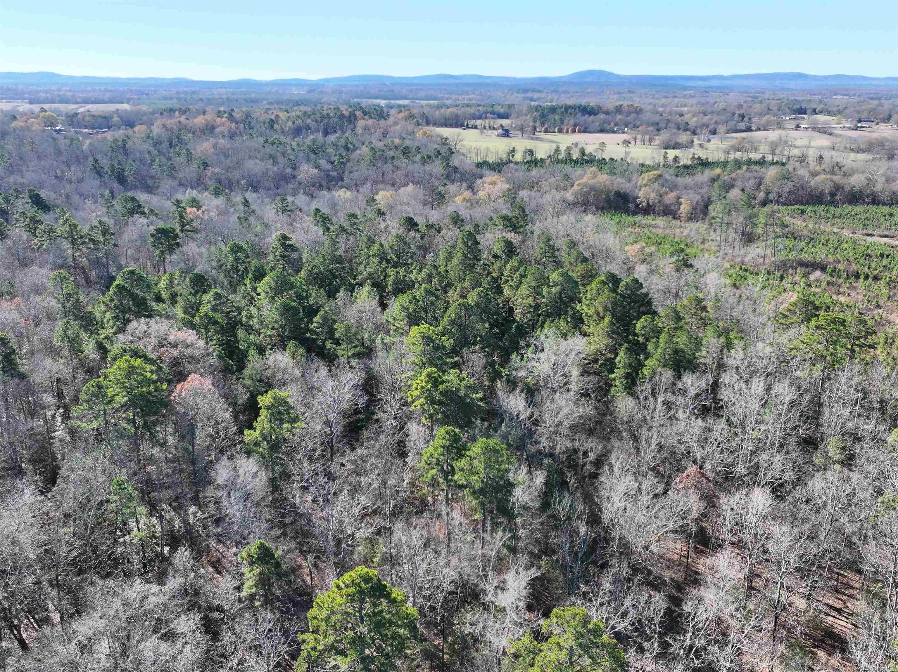 Tract 1  TBD Polk 31  Cove, AR