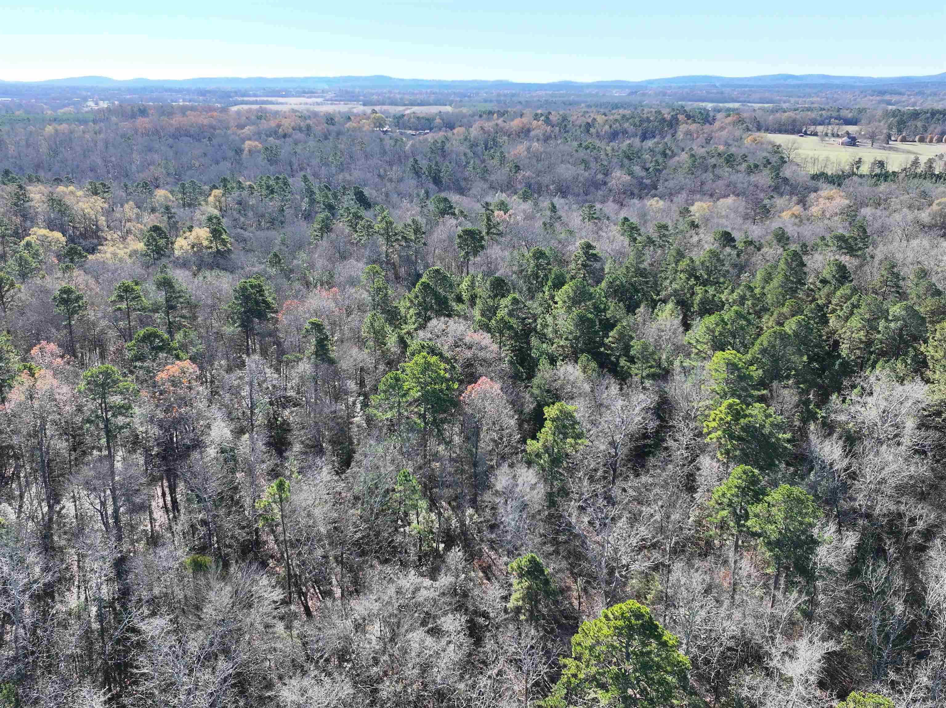Tract 1  TBD Polk 31  Cove, AR