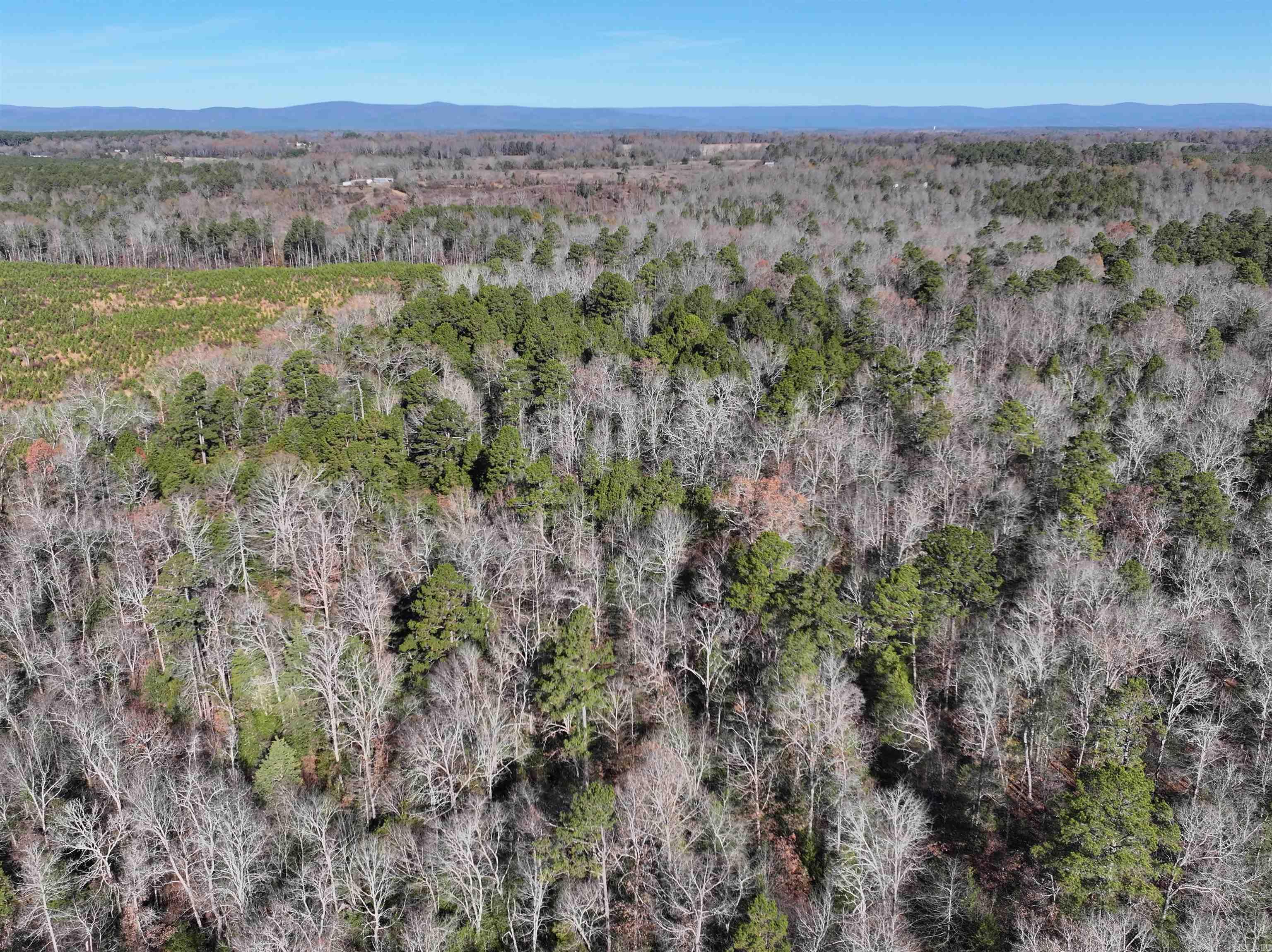 Tract 1  TBD Polk 31  Cove, AR