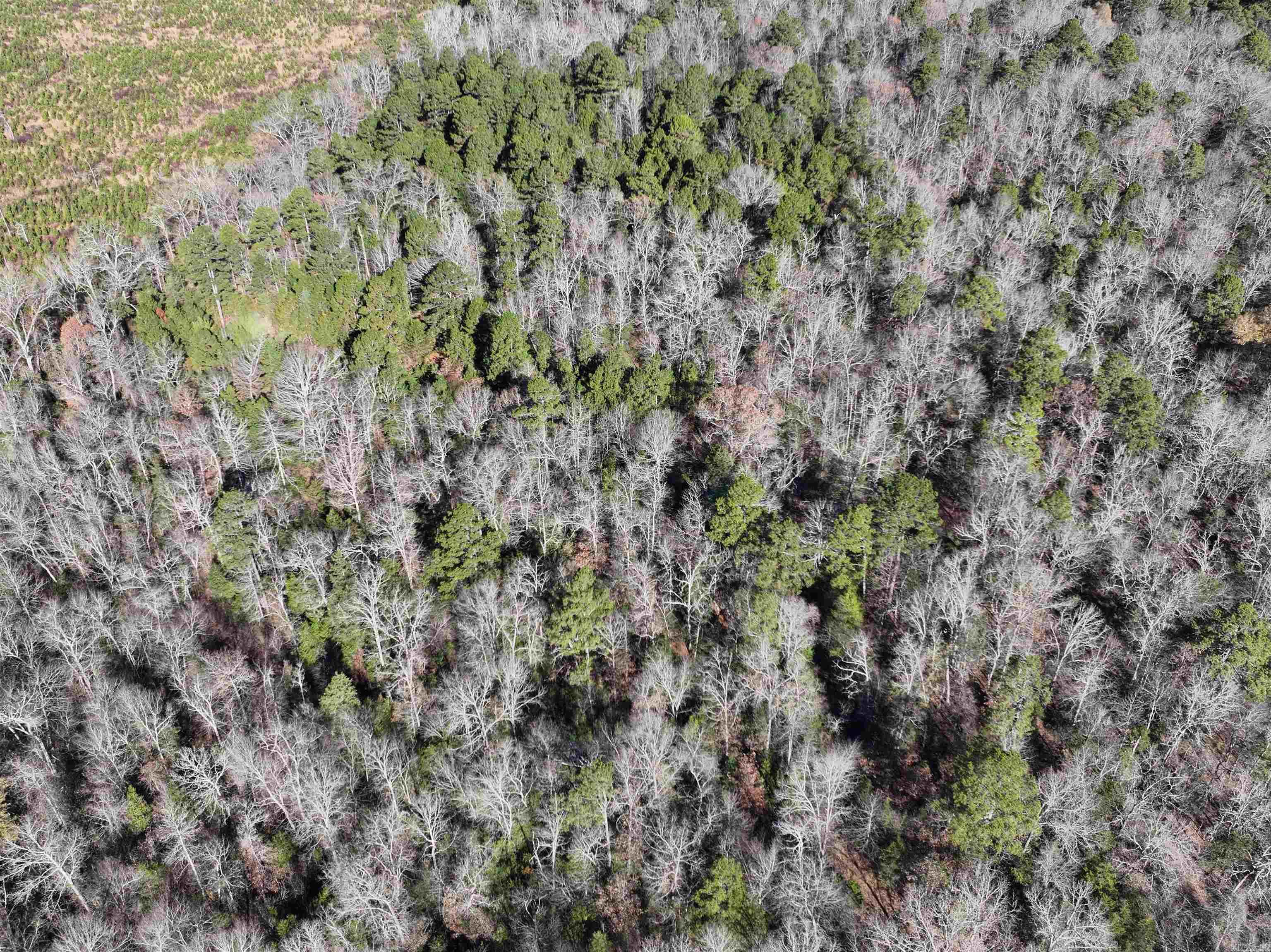Tract 1  TBD Polk 31  Cove, AR
