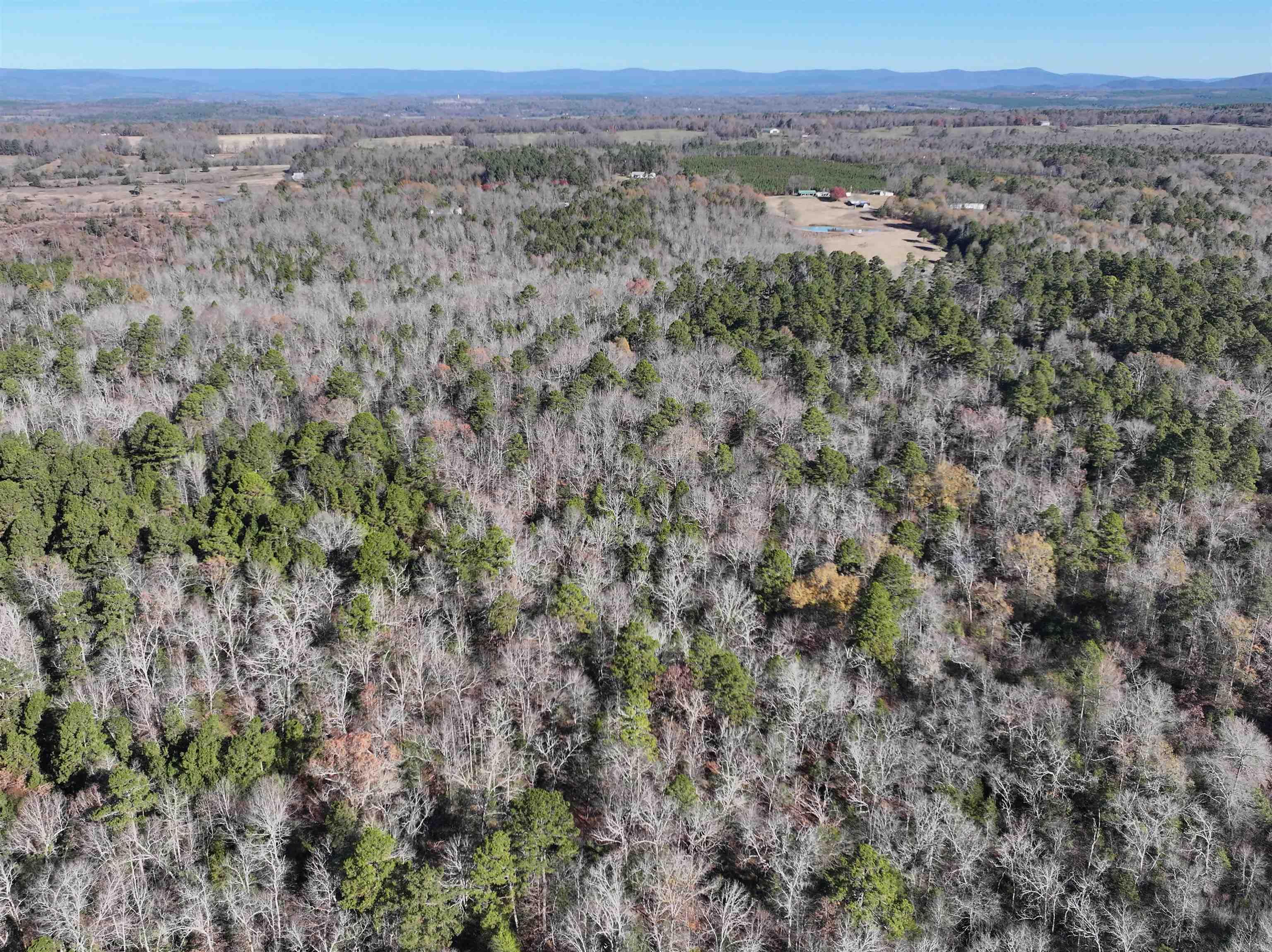 Tract 1  TBD Polk 31  Cove, AR