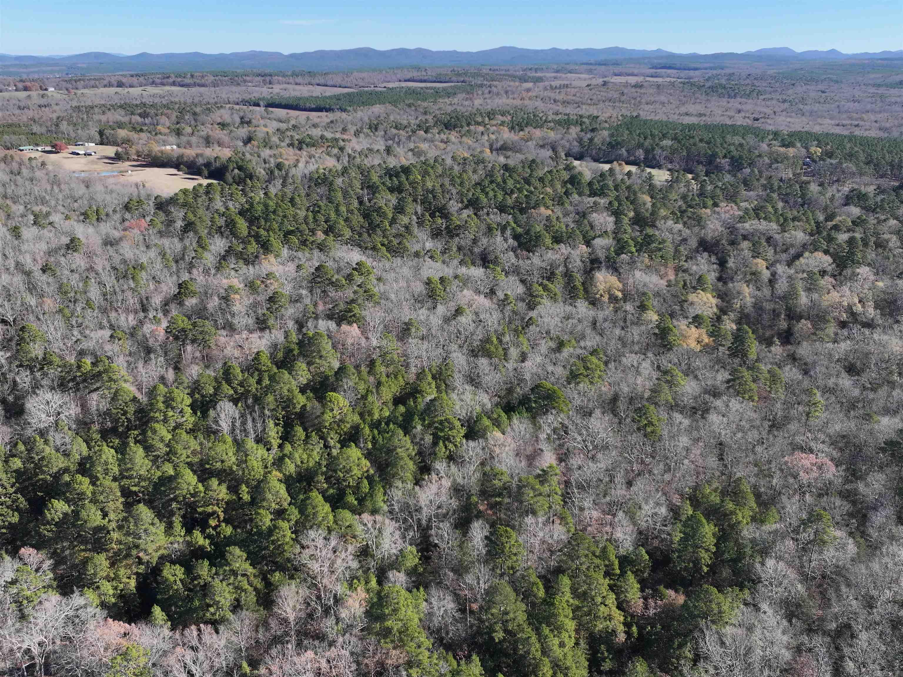 Tract 1  TBD Polk 31  Cove, AR
