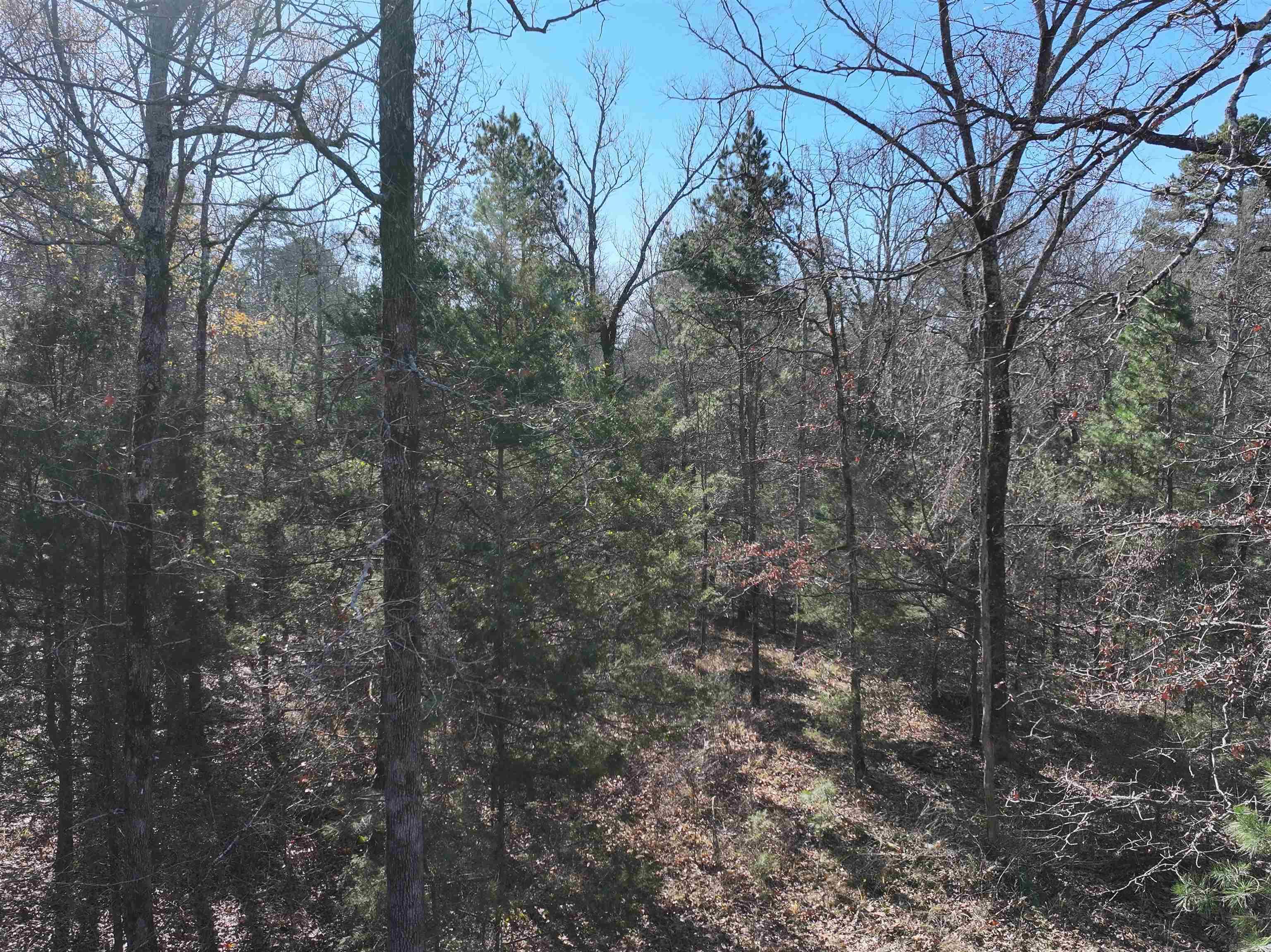 Tract 1  TBD Polk 31  Cove, AR